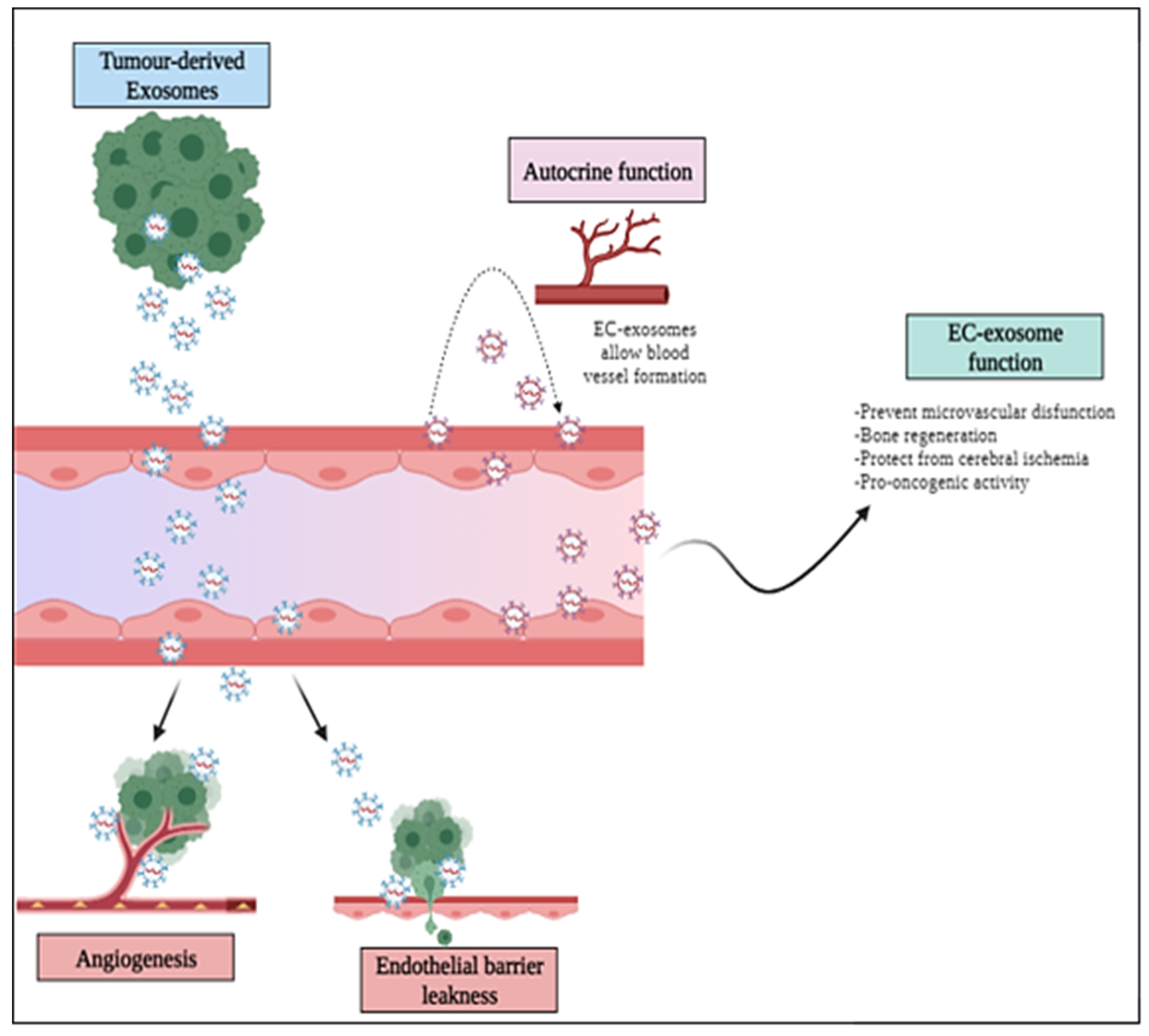 Cancers 14 01969 g002 550