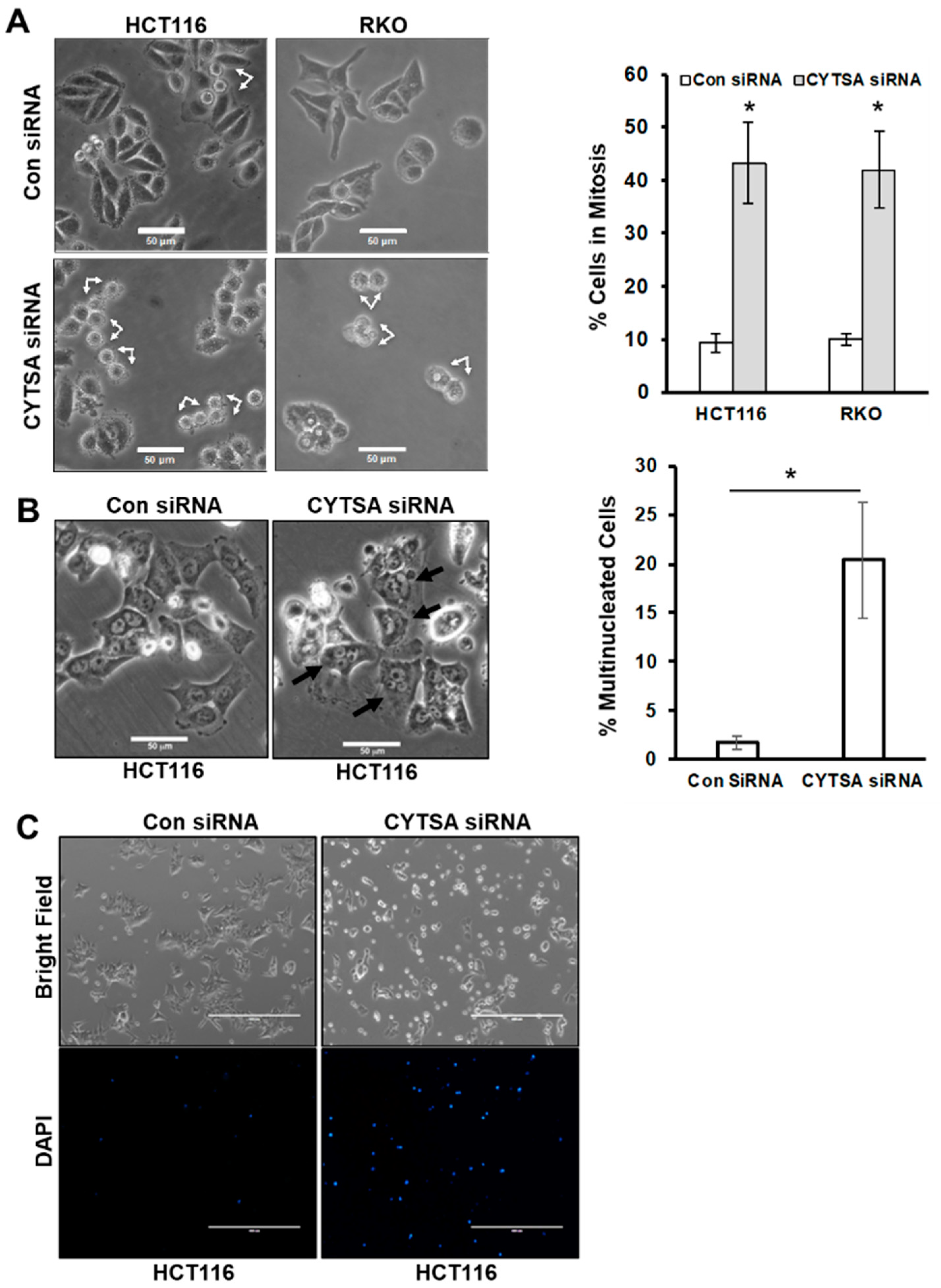 Cancers 14 01977 g002