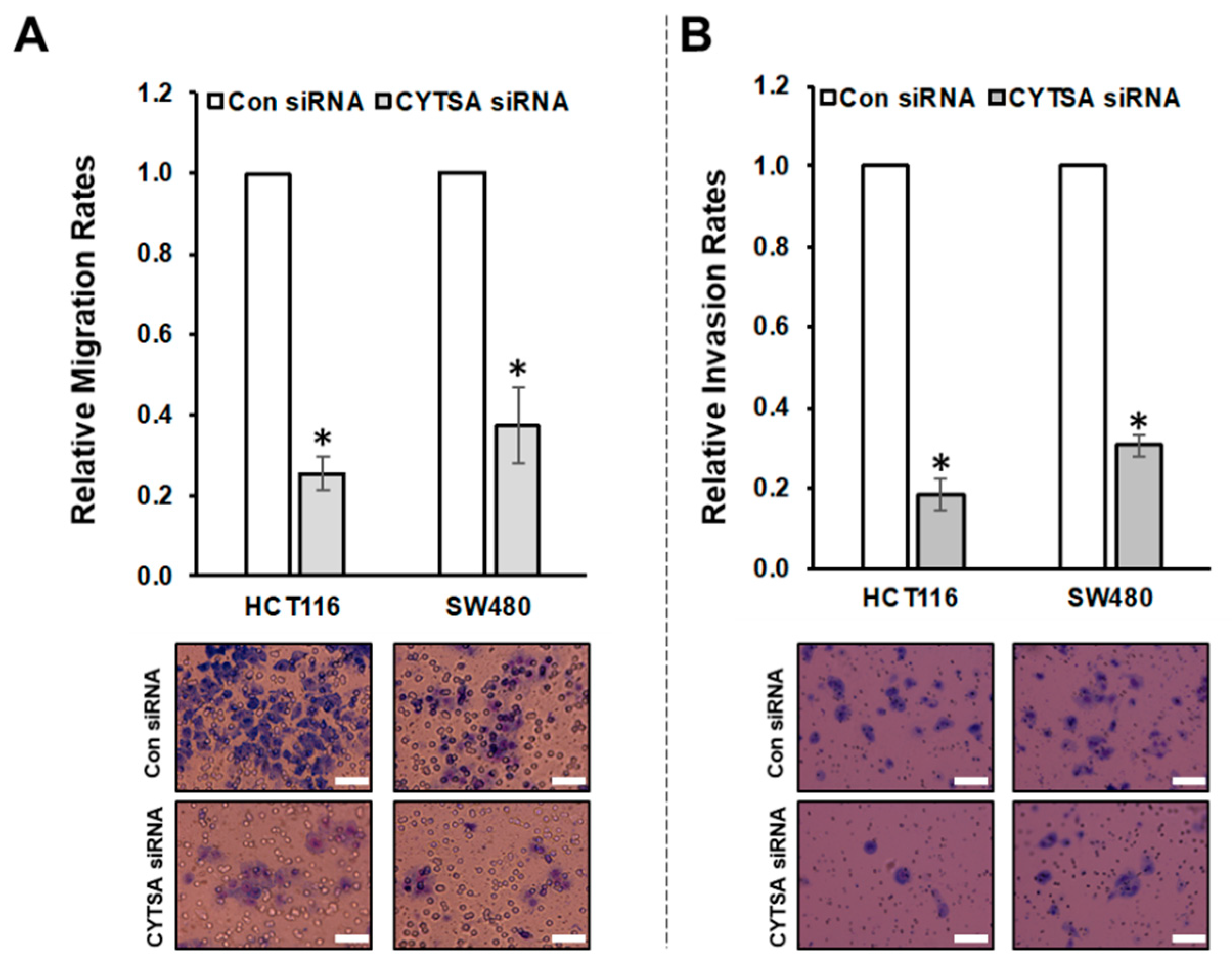Cancers 14 01977 g004