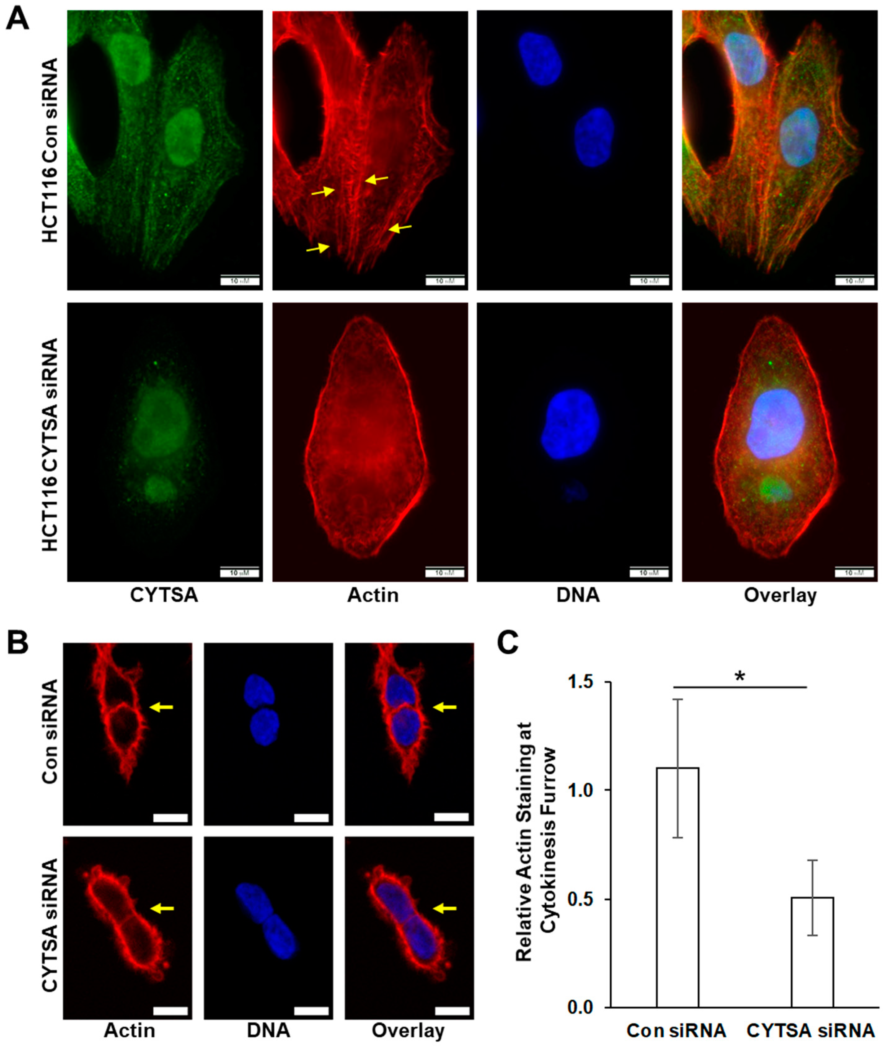 Cancers 14 01977 g006
