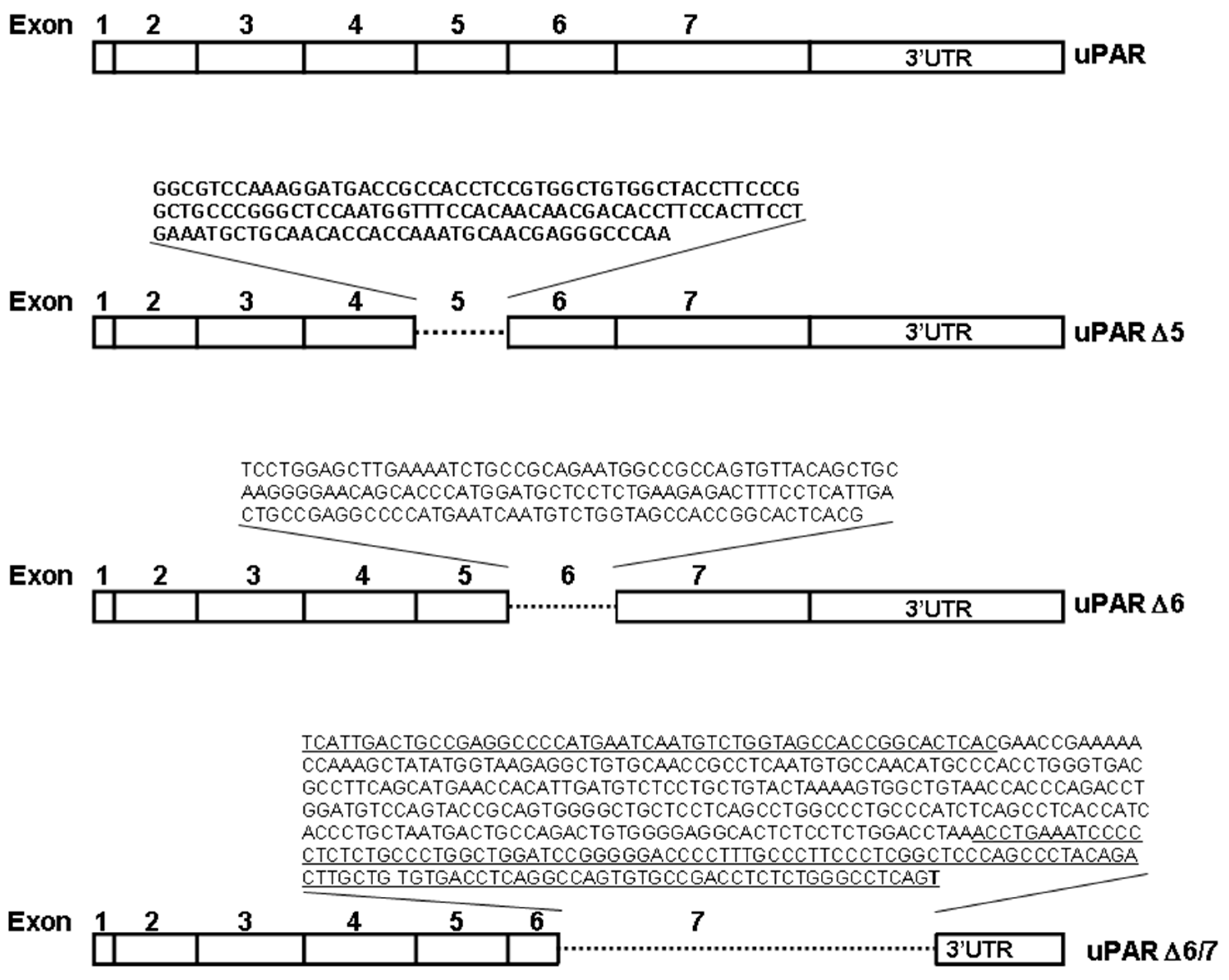 Cancers 14 01980 g001 550