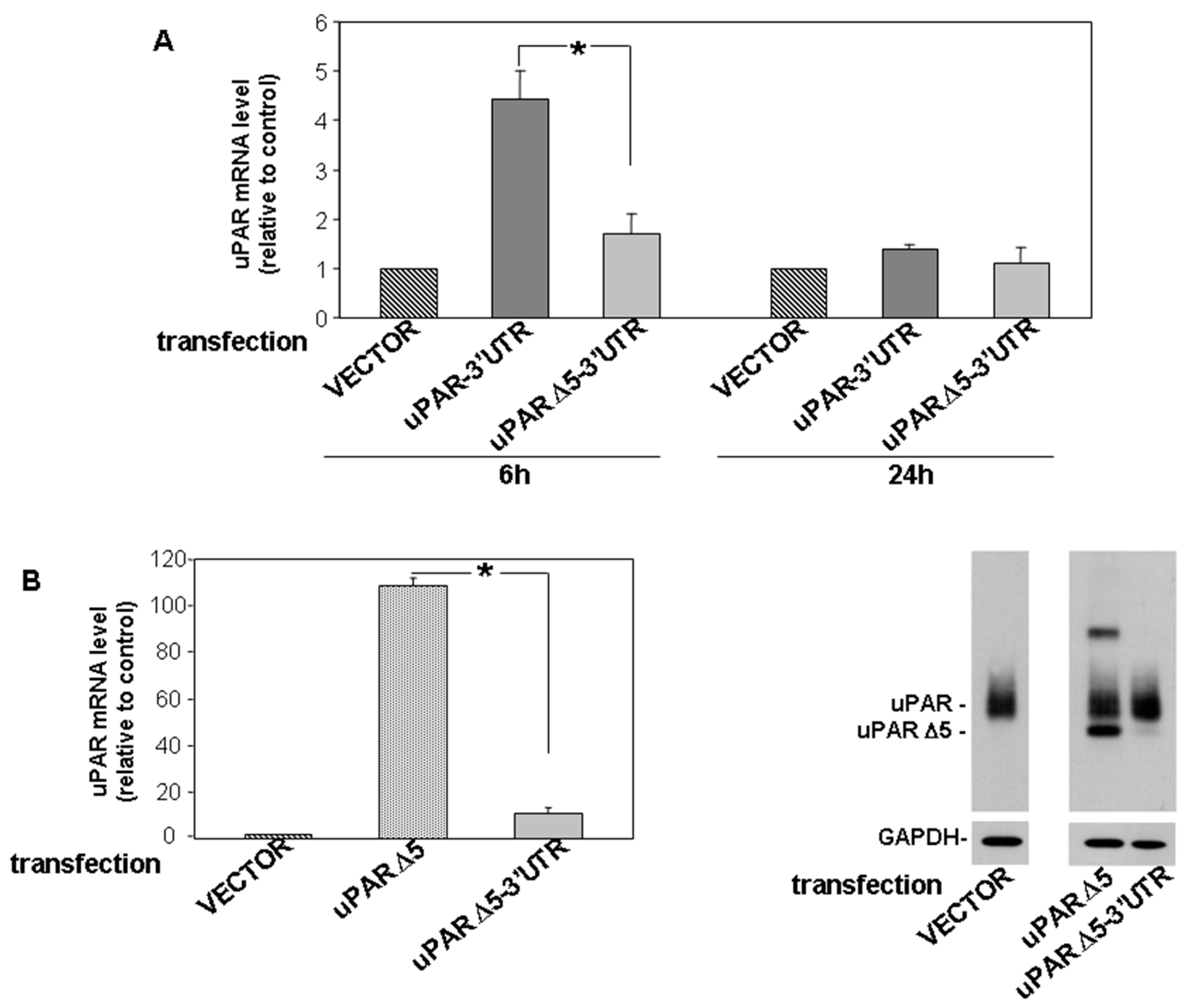 Cancers 14 01980 g003 550
