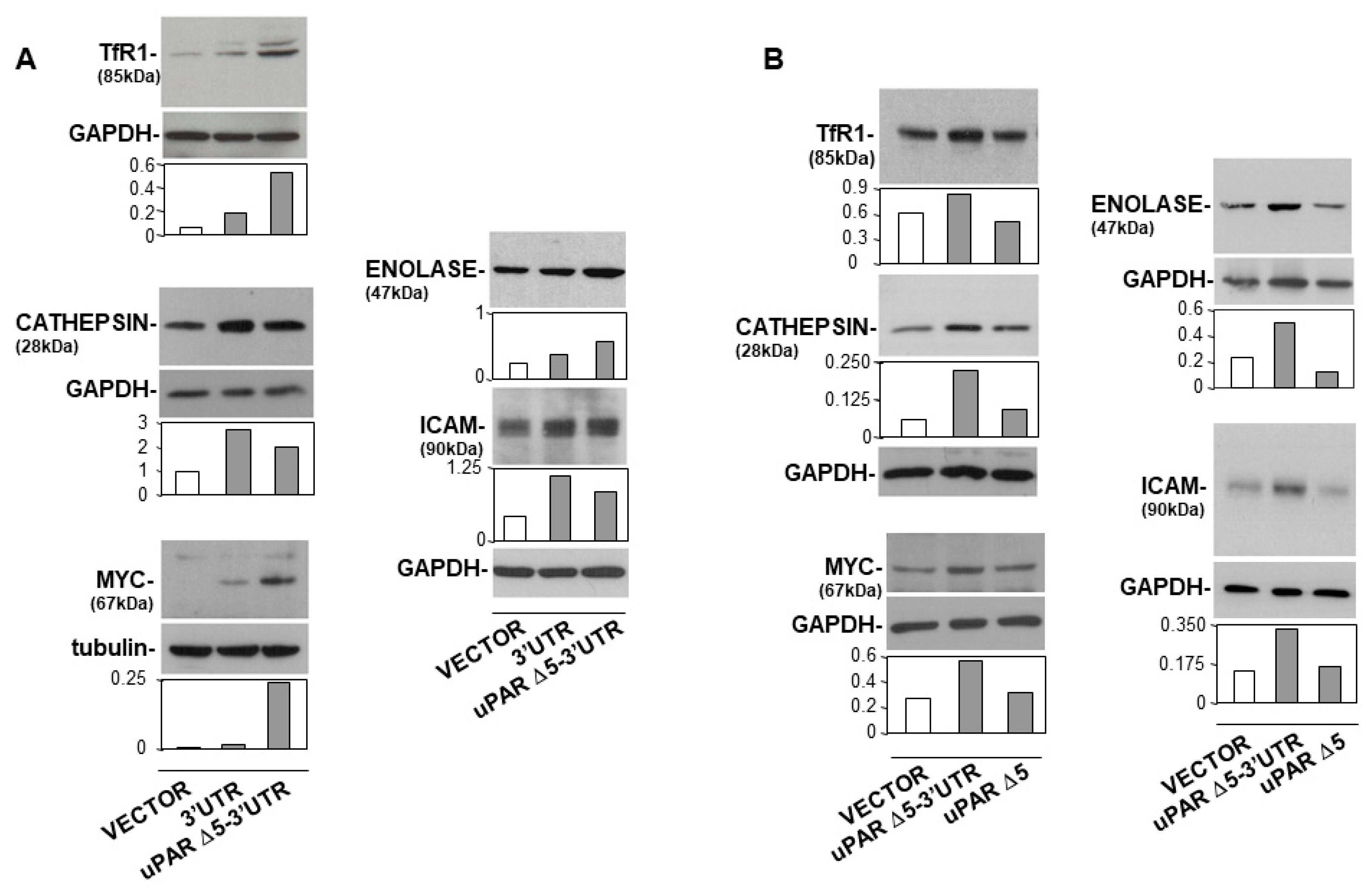 Cancers 14 01980 g004 550