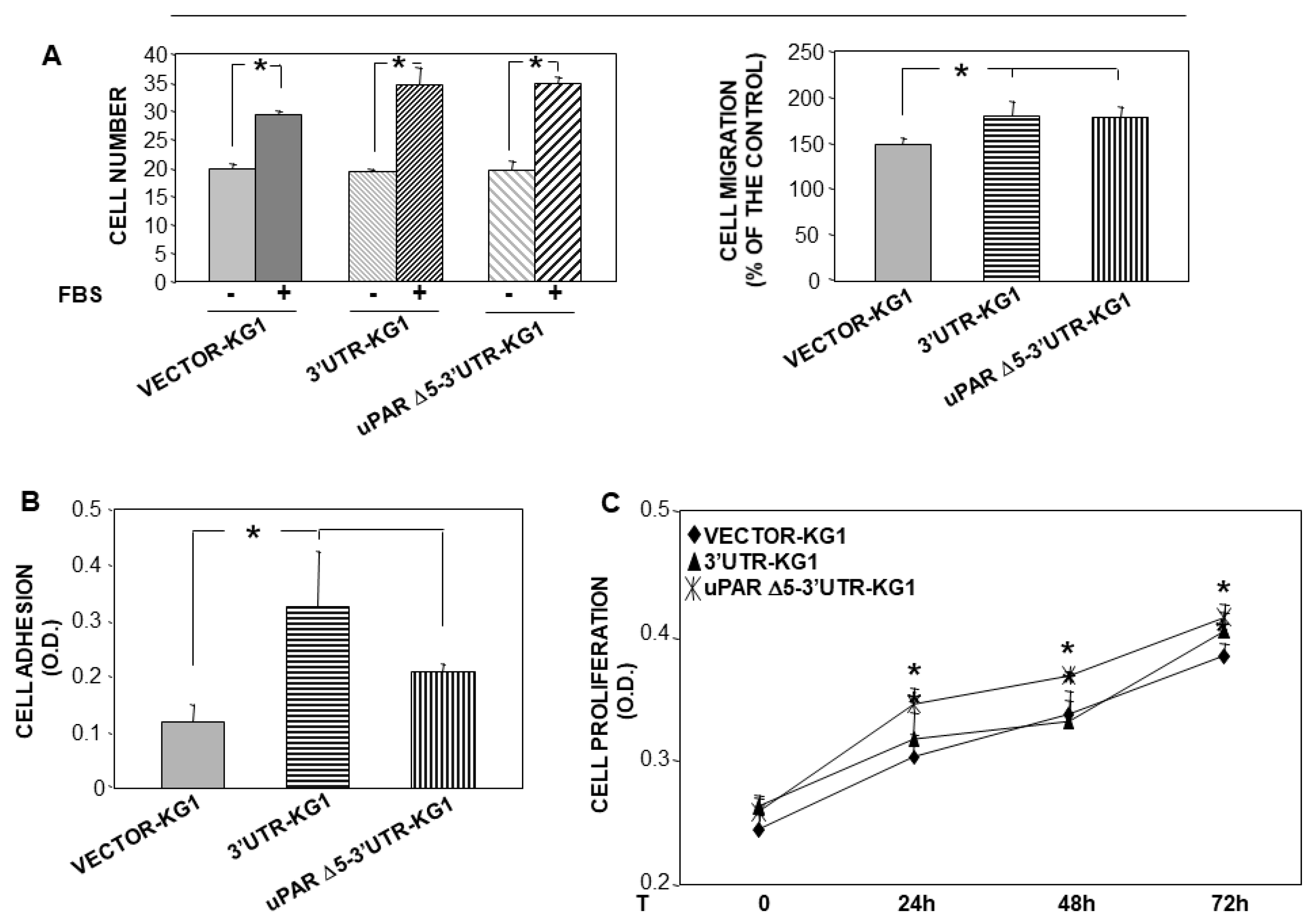 Cancers 14 01980 g005 550