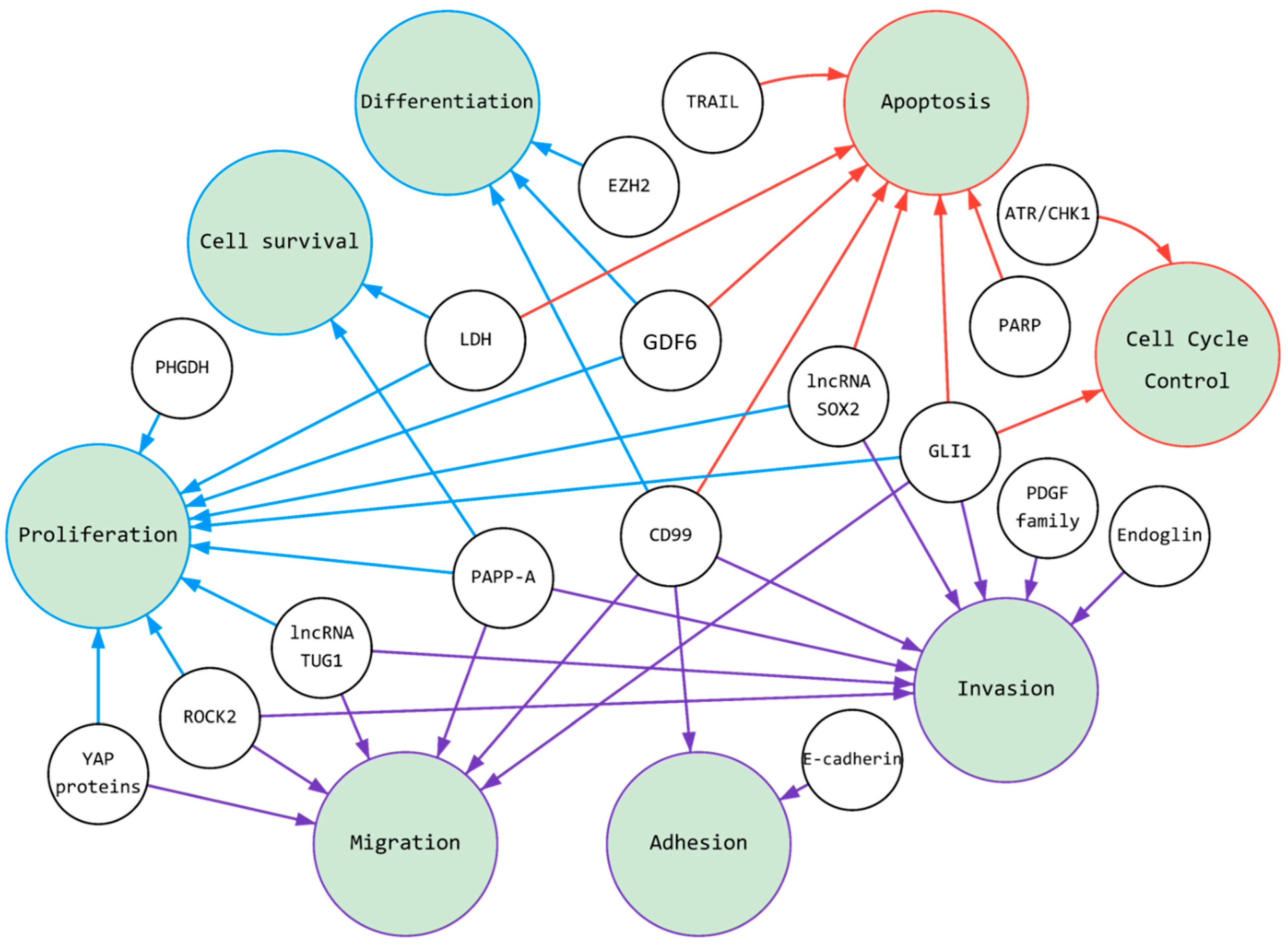 Cancers 14 01988 g001