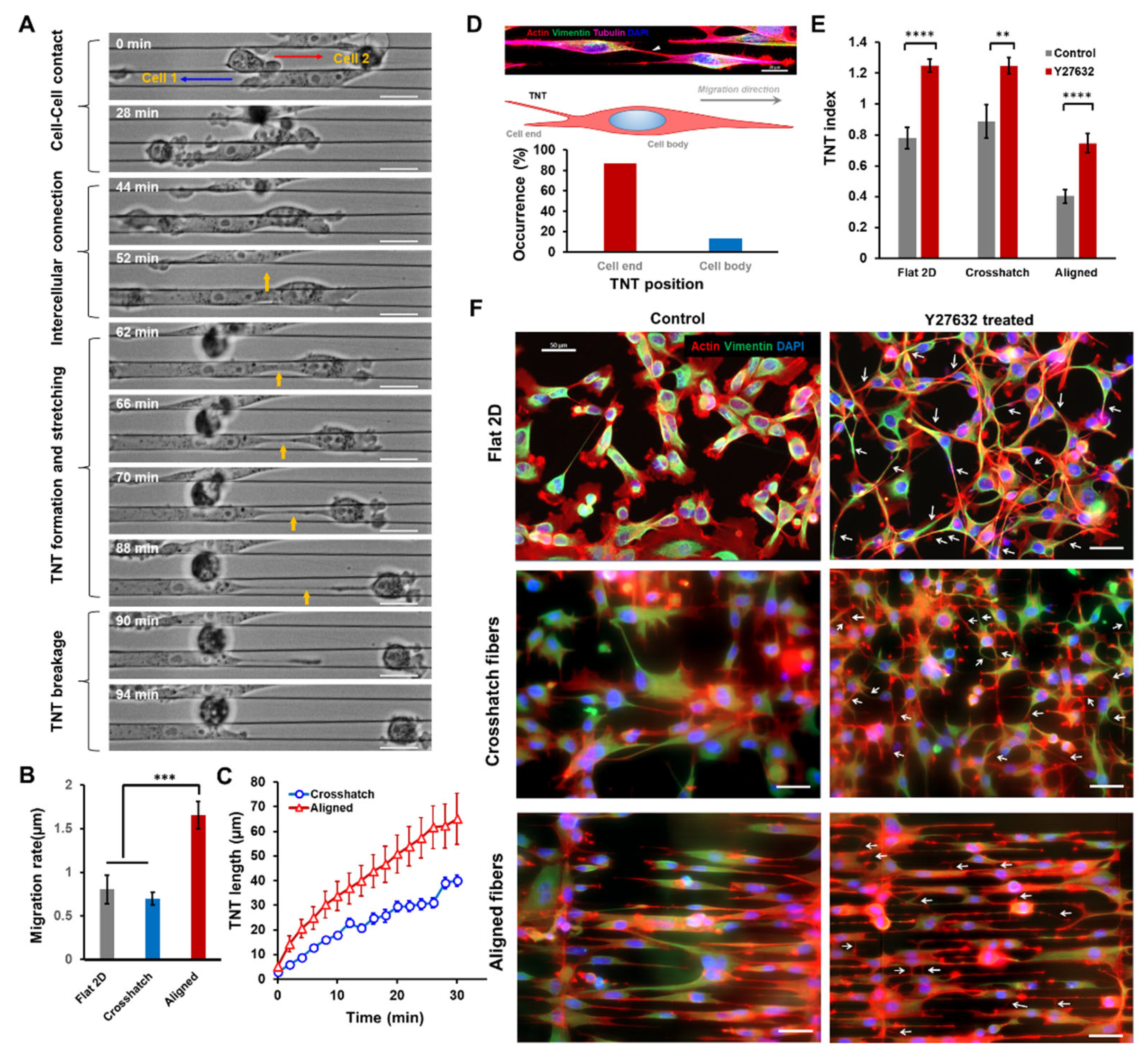 Cancers 14 01989 g002 550