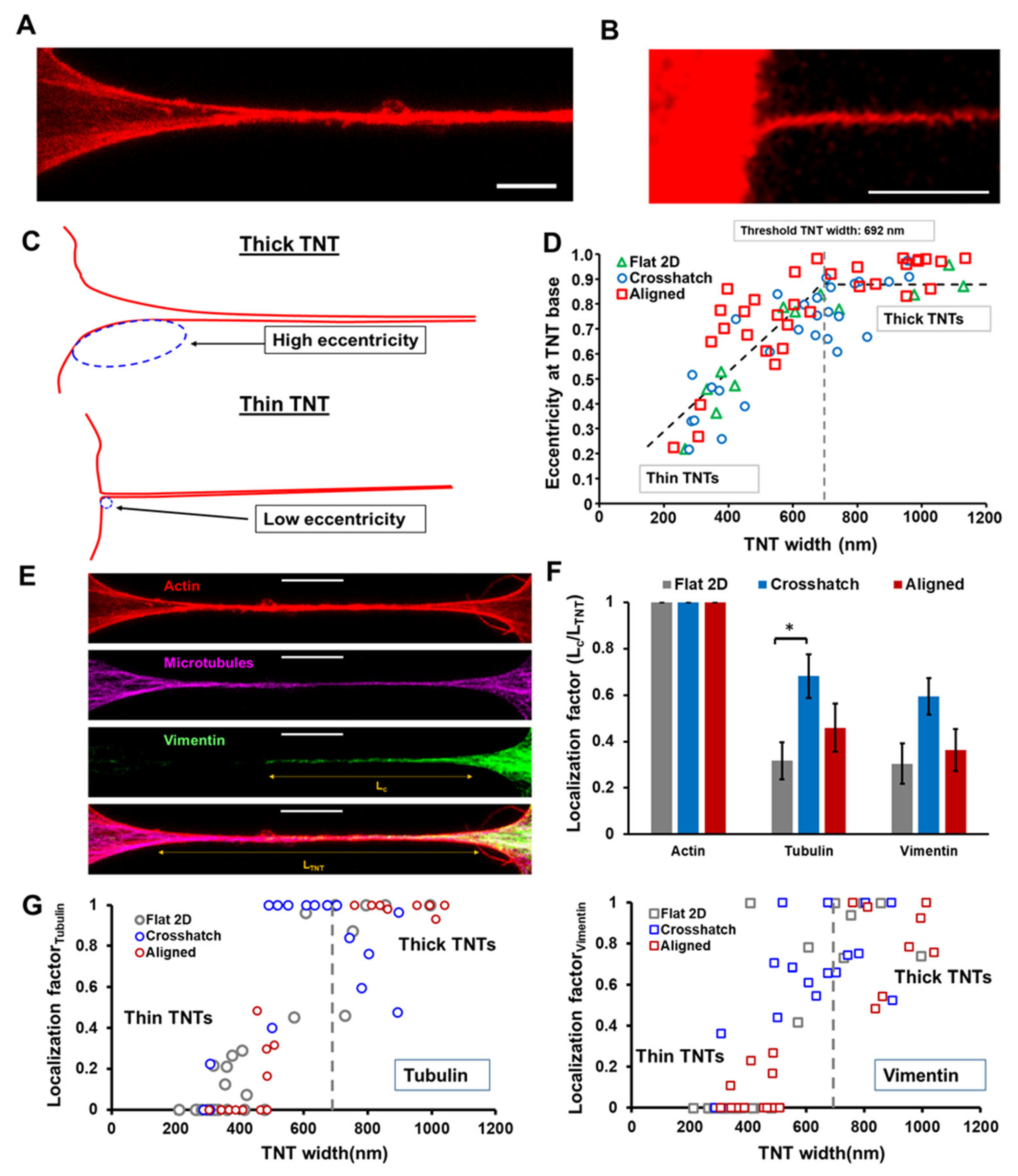 Cancers 14 01989 g003 550