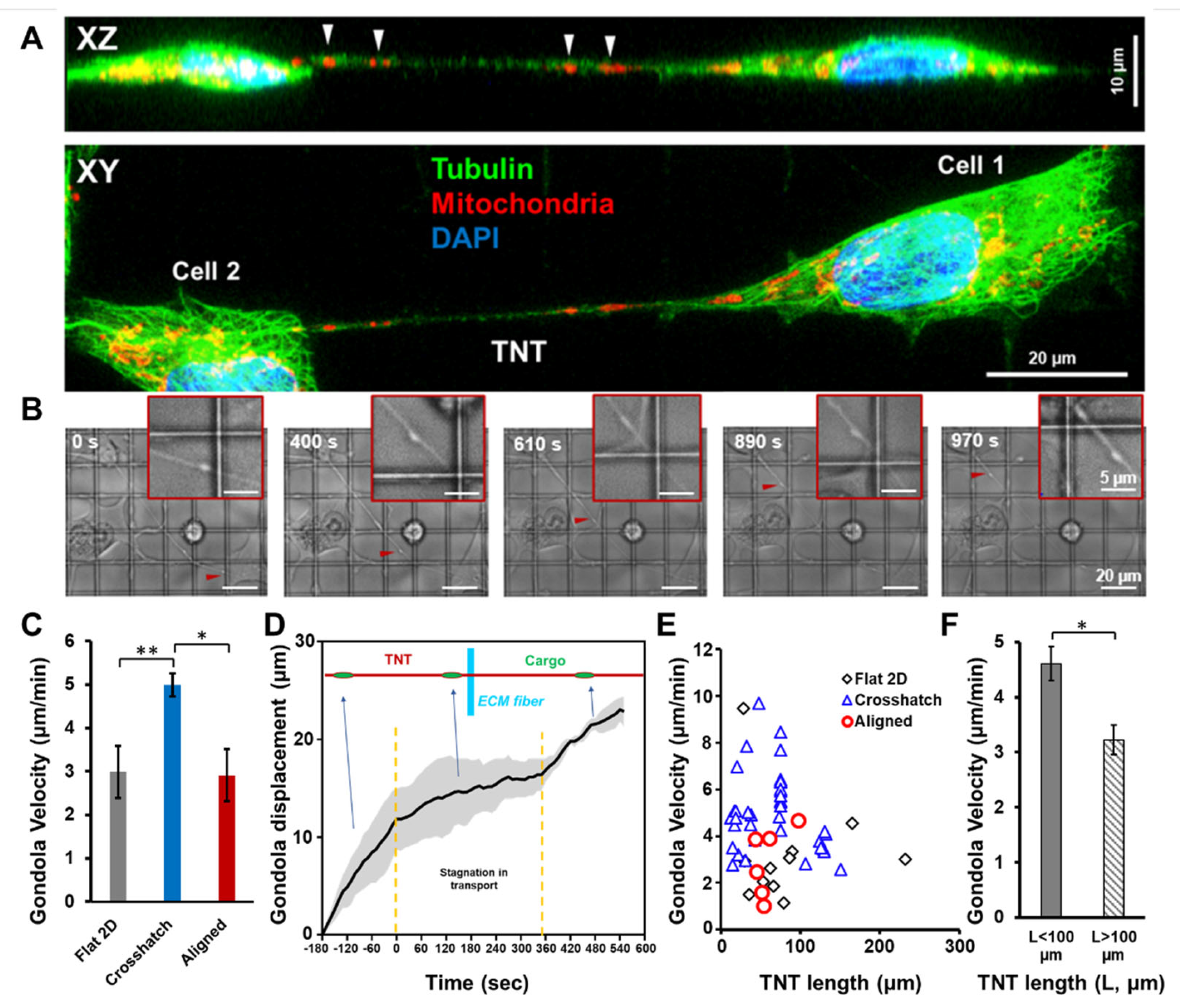 Cancers 14 01989 g004 550