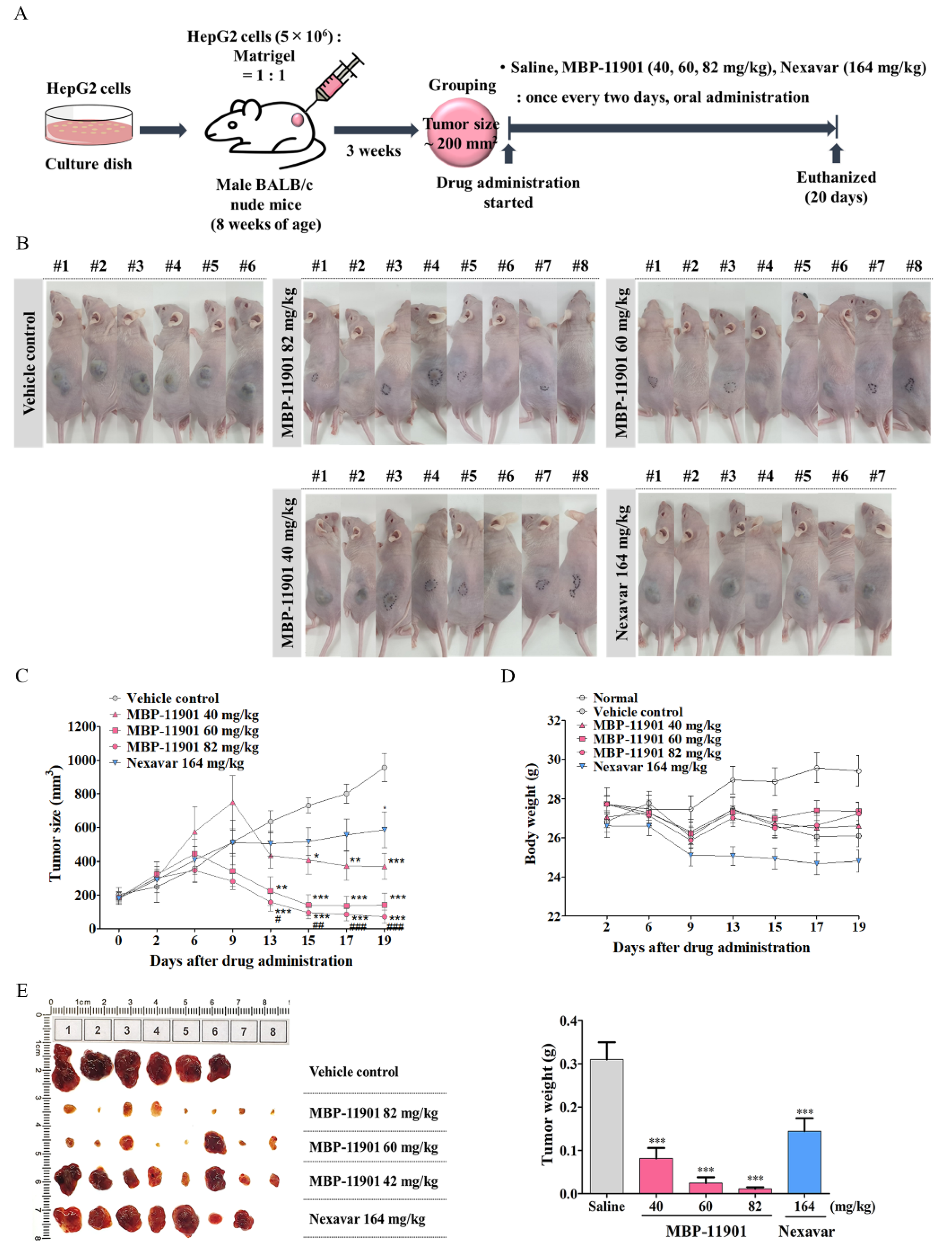 Cancers 14 01994 g004a 550
