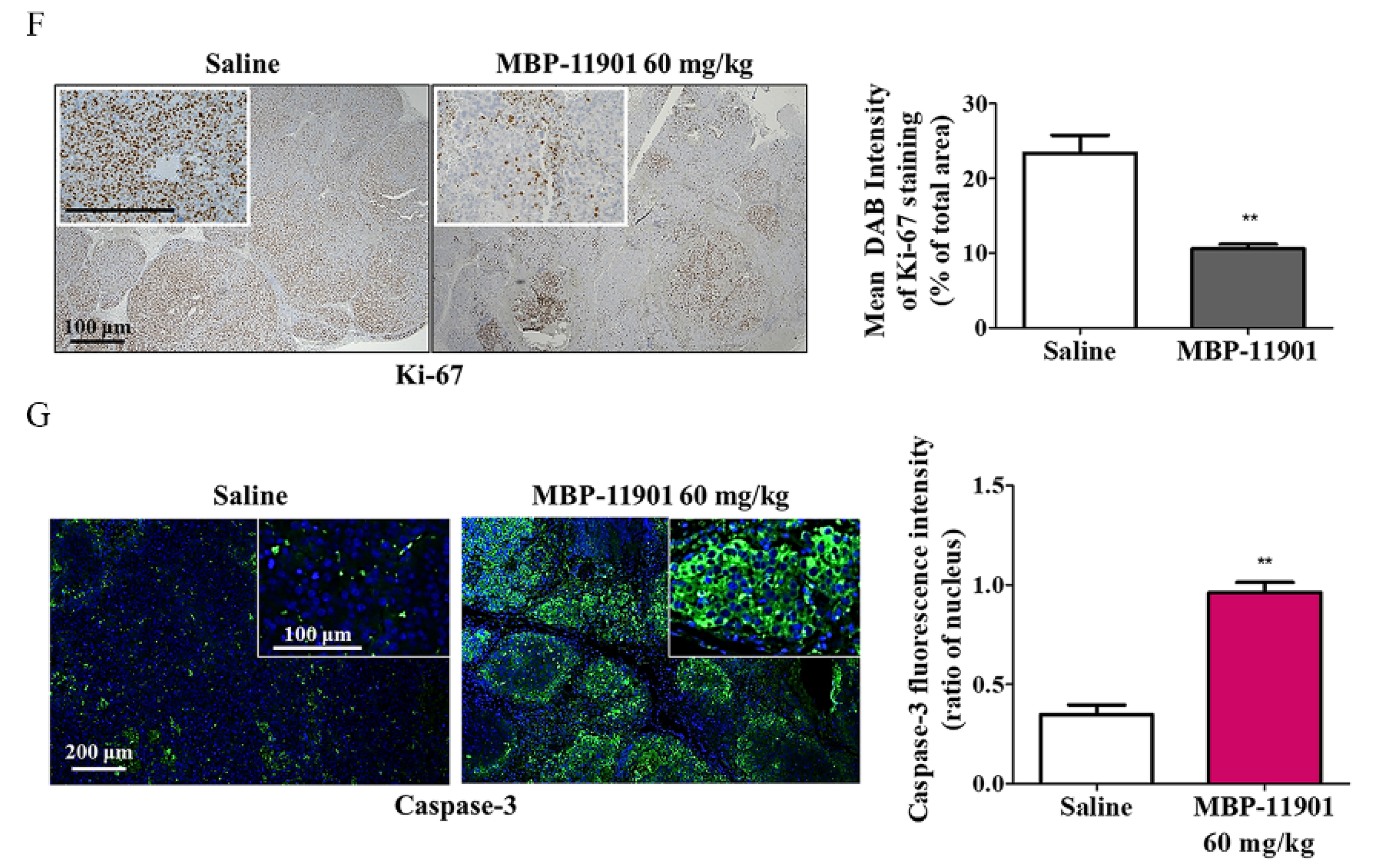 Cancers 14 01994 g004b 550
