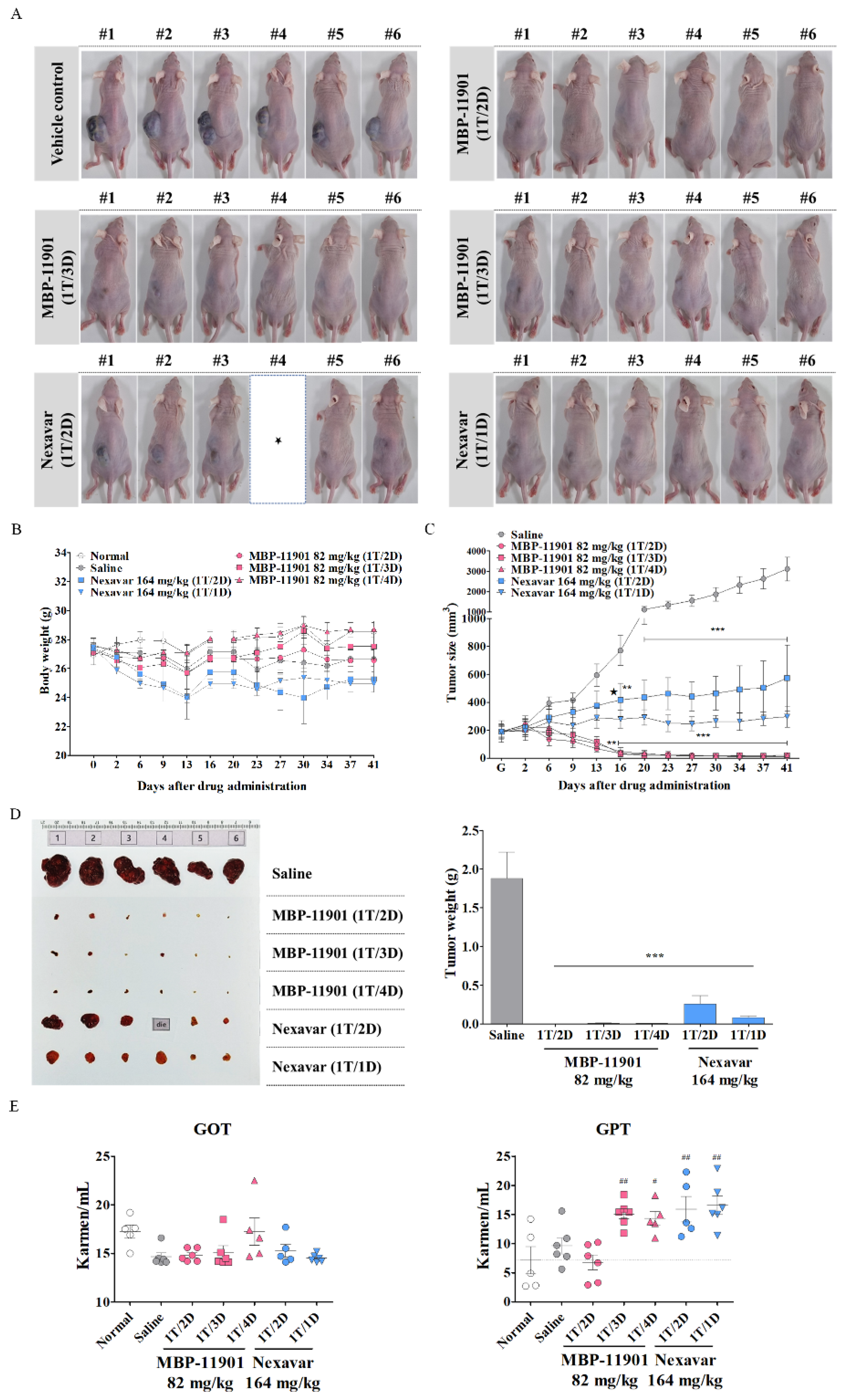 Cancers 14 01994 g005a 550
