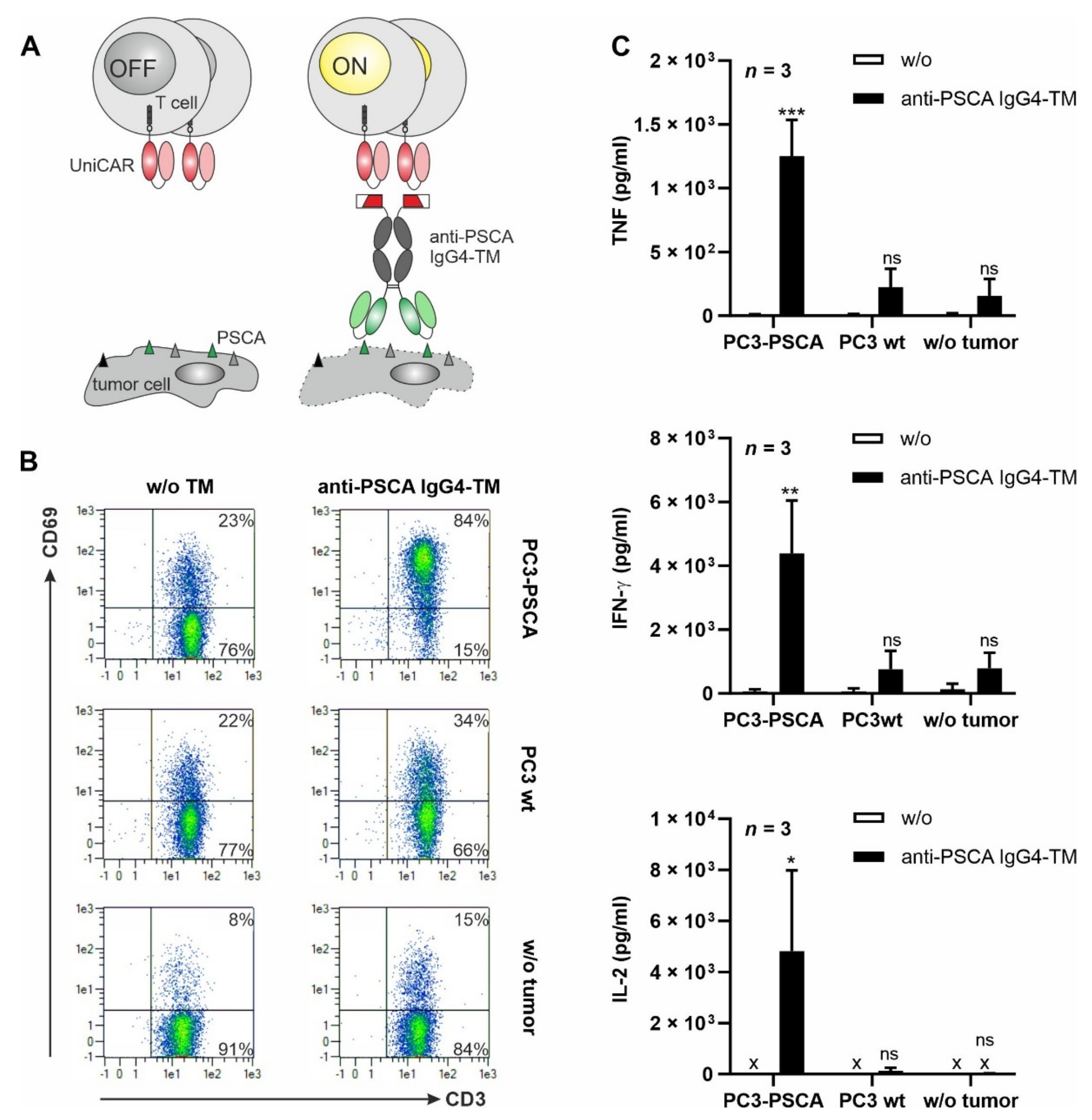 Cancers 14 01996 g003 550