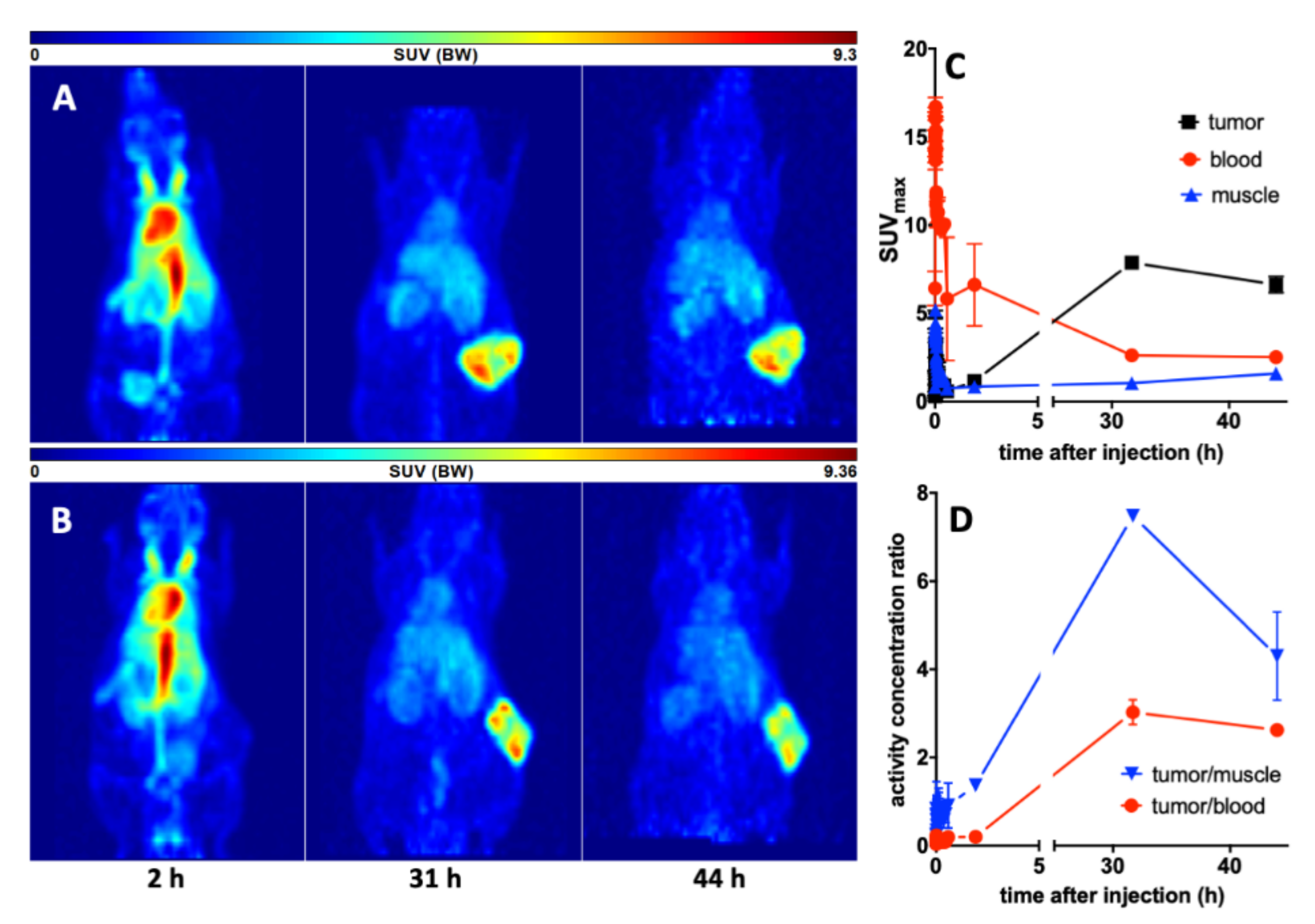 Cancers 14 01996 g006 550