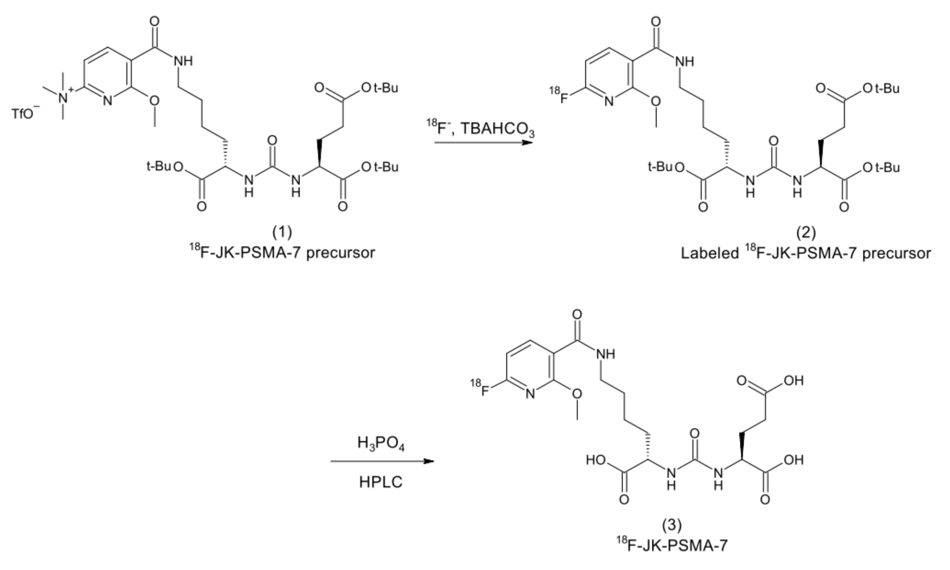 Cancers 14 01996 g008 550