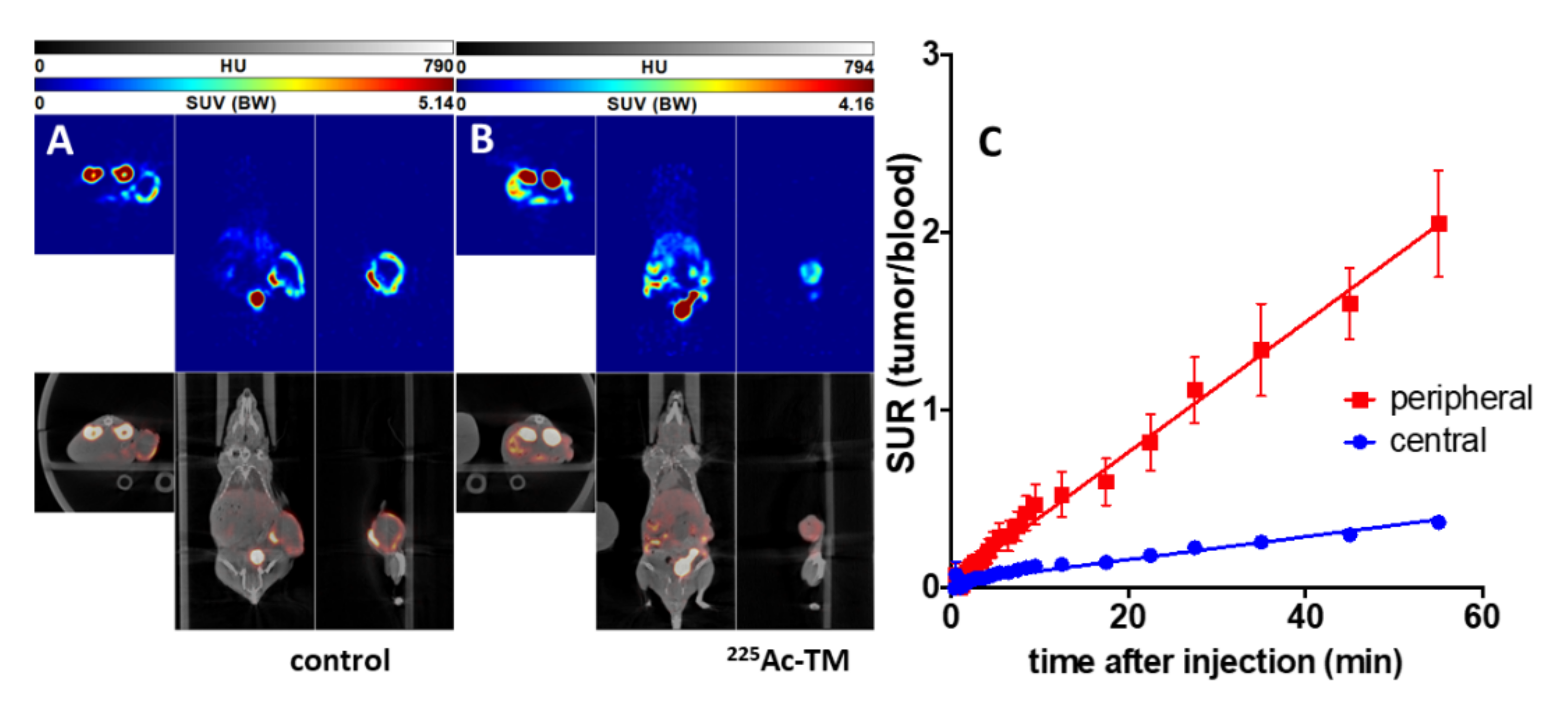 Cancers 14 01996 g009 550