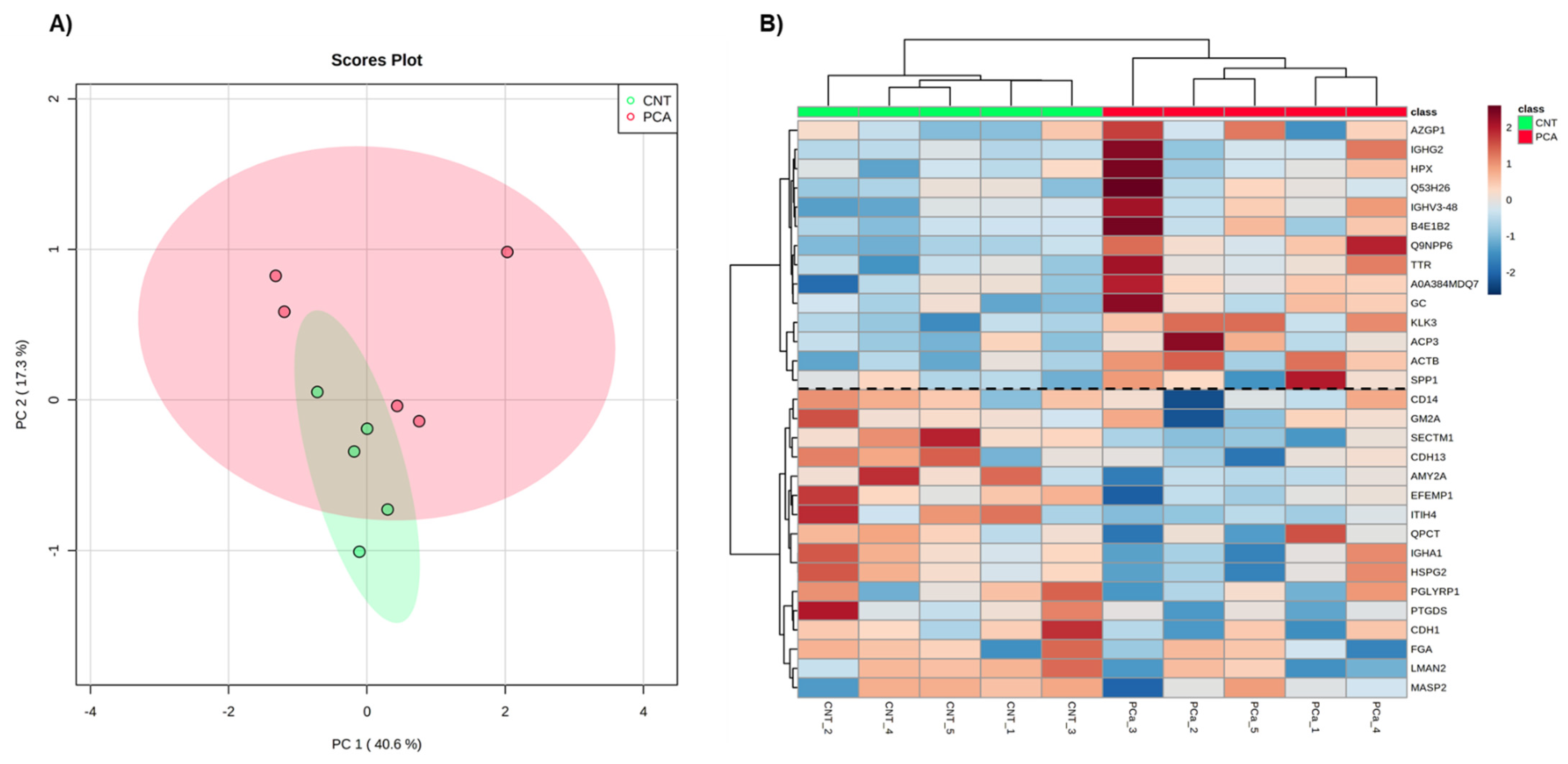 Cancers 14 02001 g001 Cancers 14 02001 g001