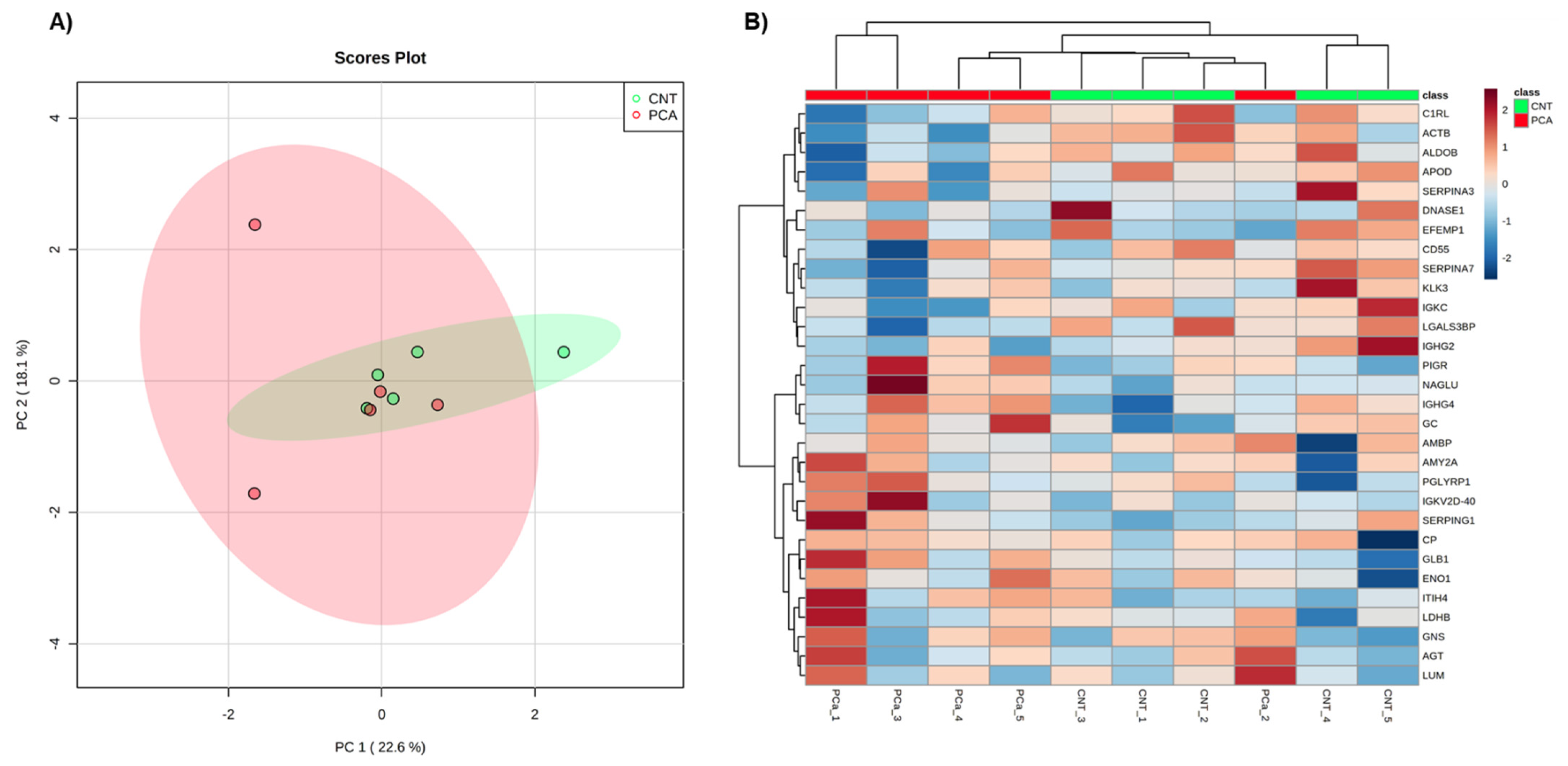 Cancers 14 02001 g002 Cancers 14 02001 g002