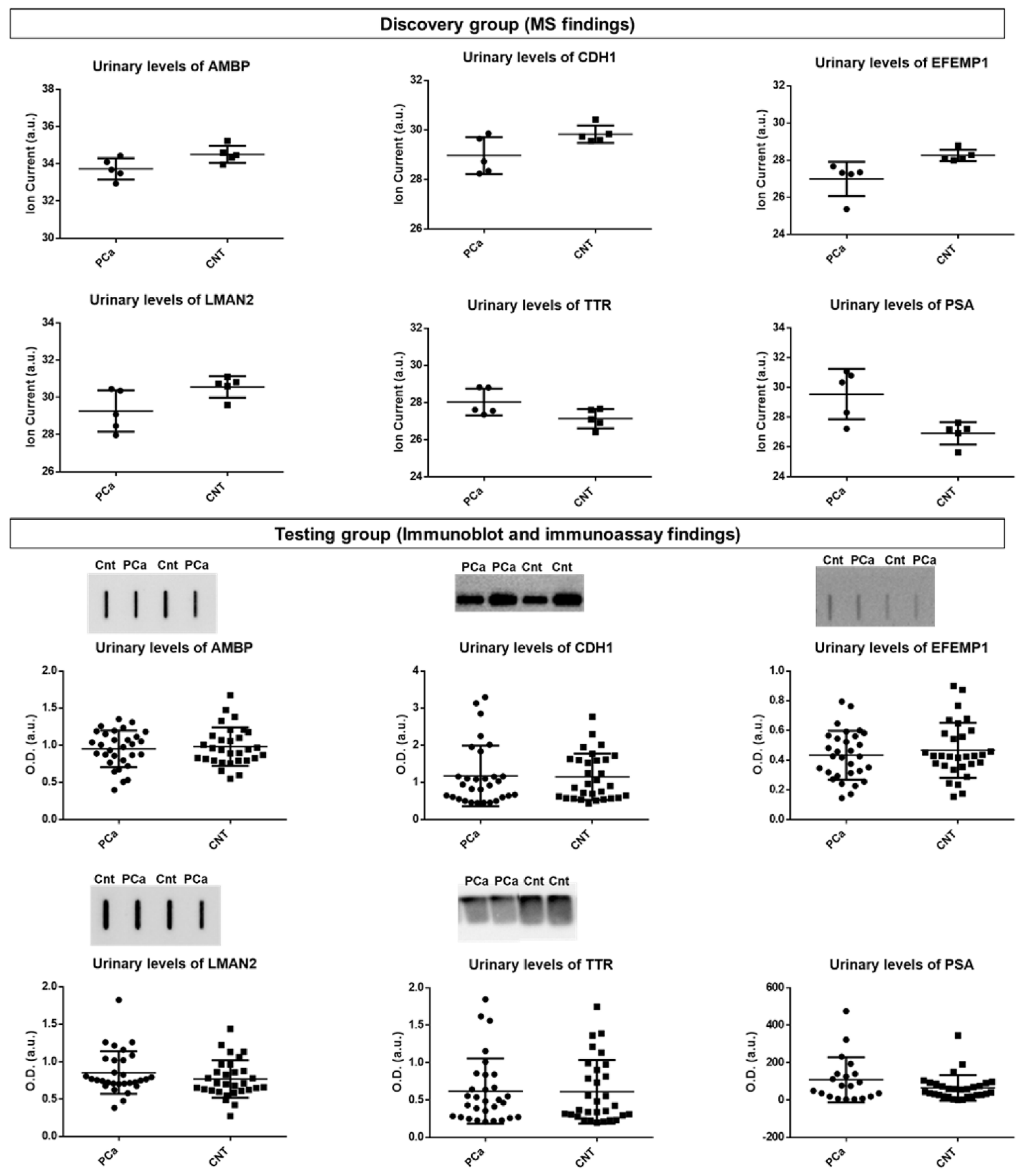 Cancers 14 02001 g003 Cancers 14 02001 g003