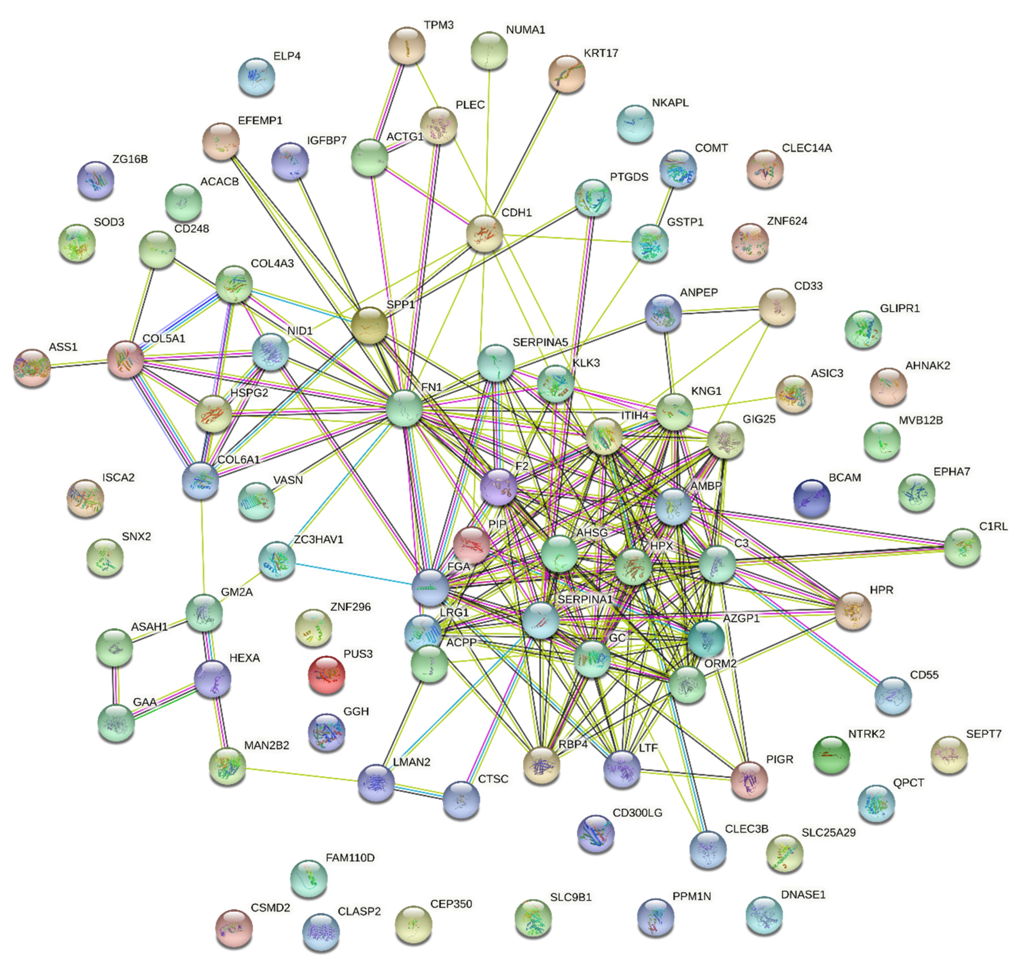 Cancers 14 02001 g005 Cancers 14 02001 g005