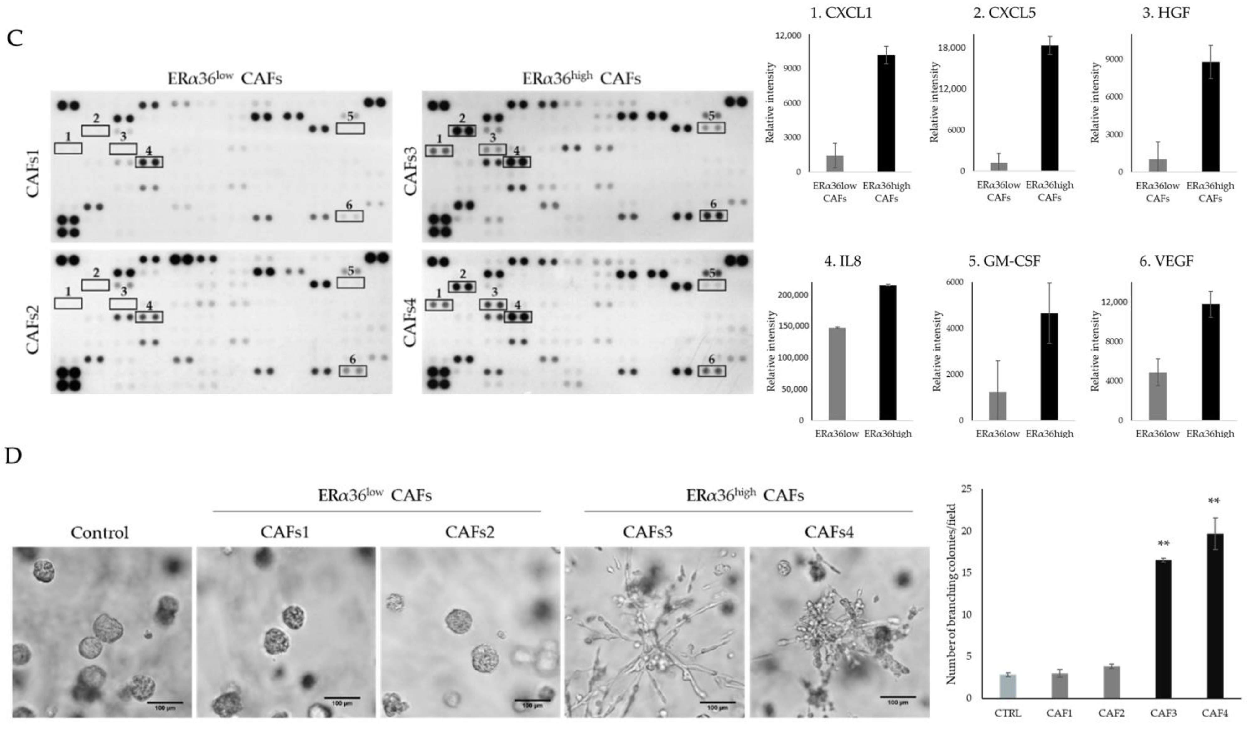 Cancers 14 02005 g001b 550