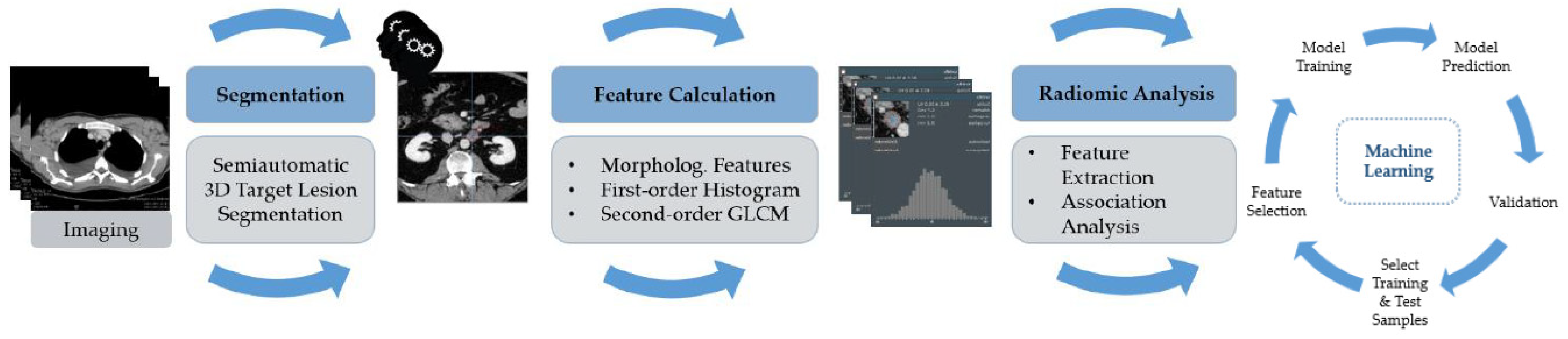 Cancers 14 02008 g002