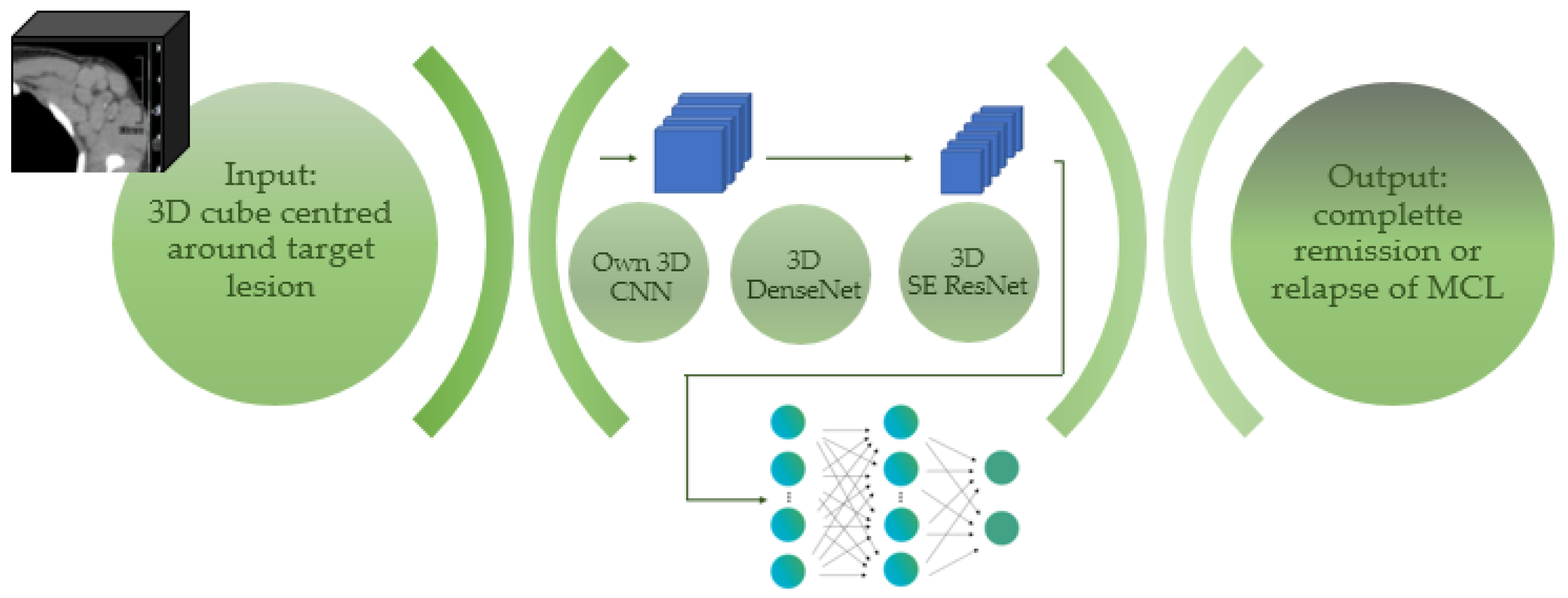 Cancers 14 02008 g004