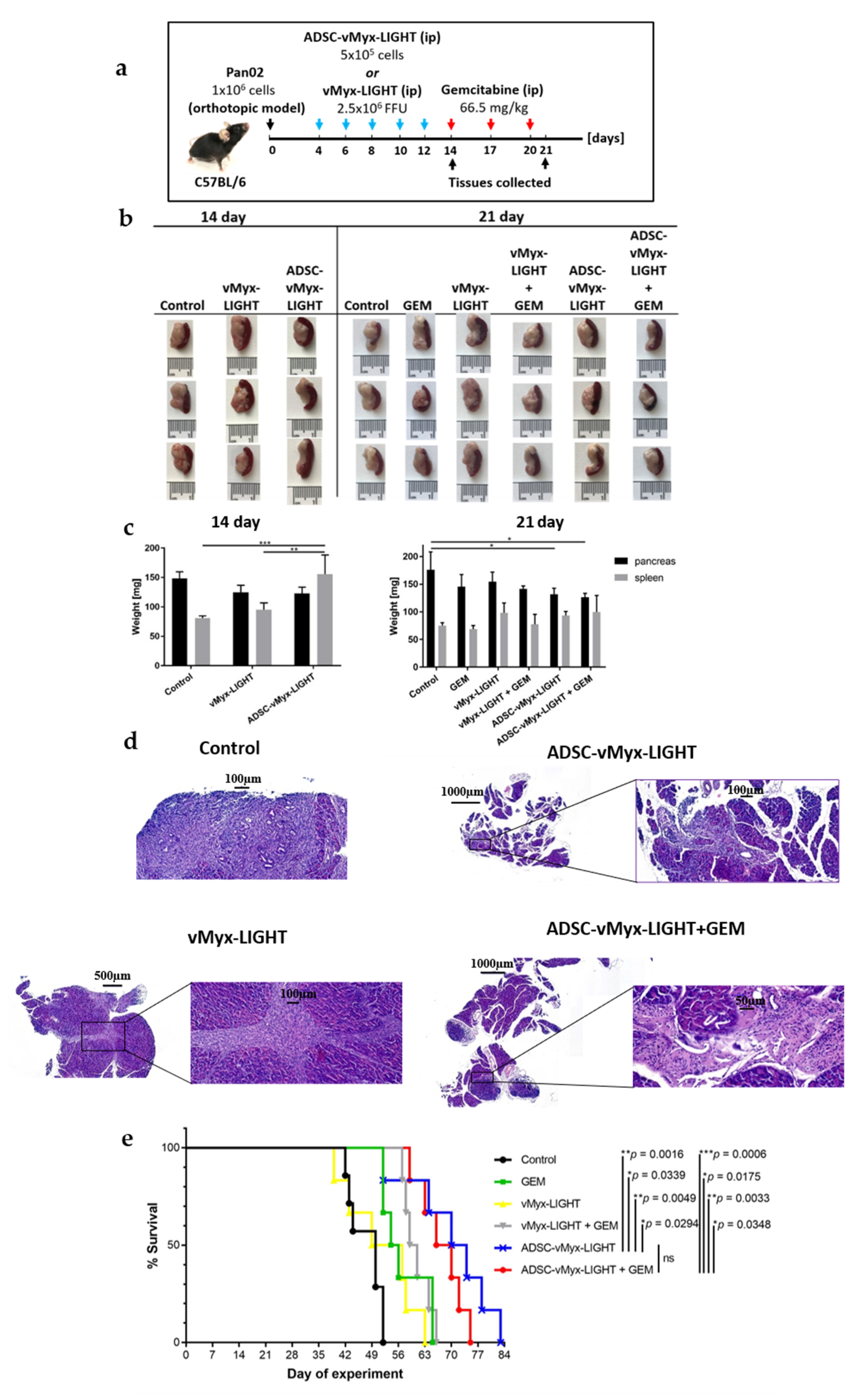 Cancers 14 02022 g004 550