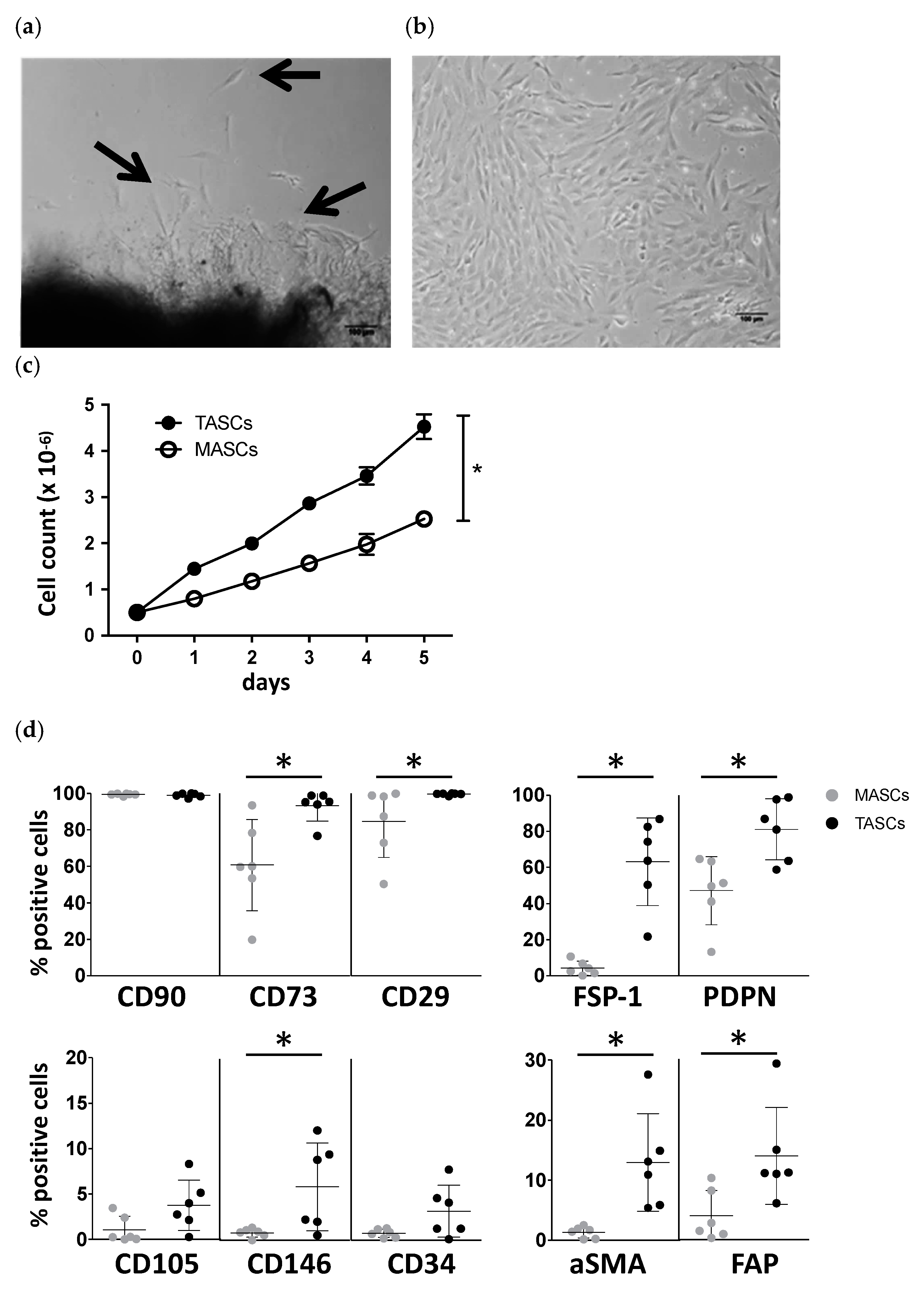 Cancers 14 02024 g001 Cancers 14 02024 g001