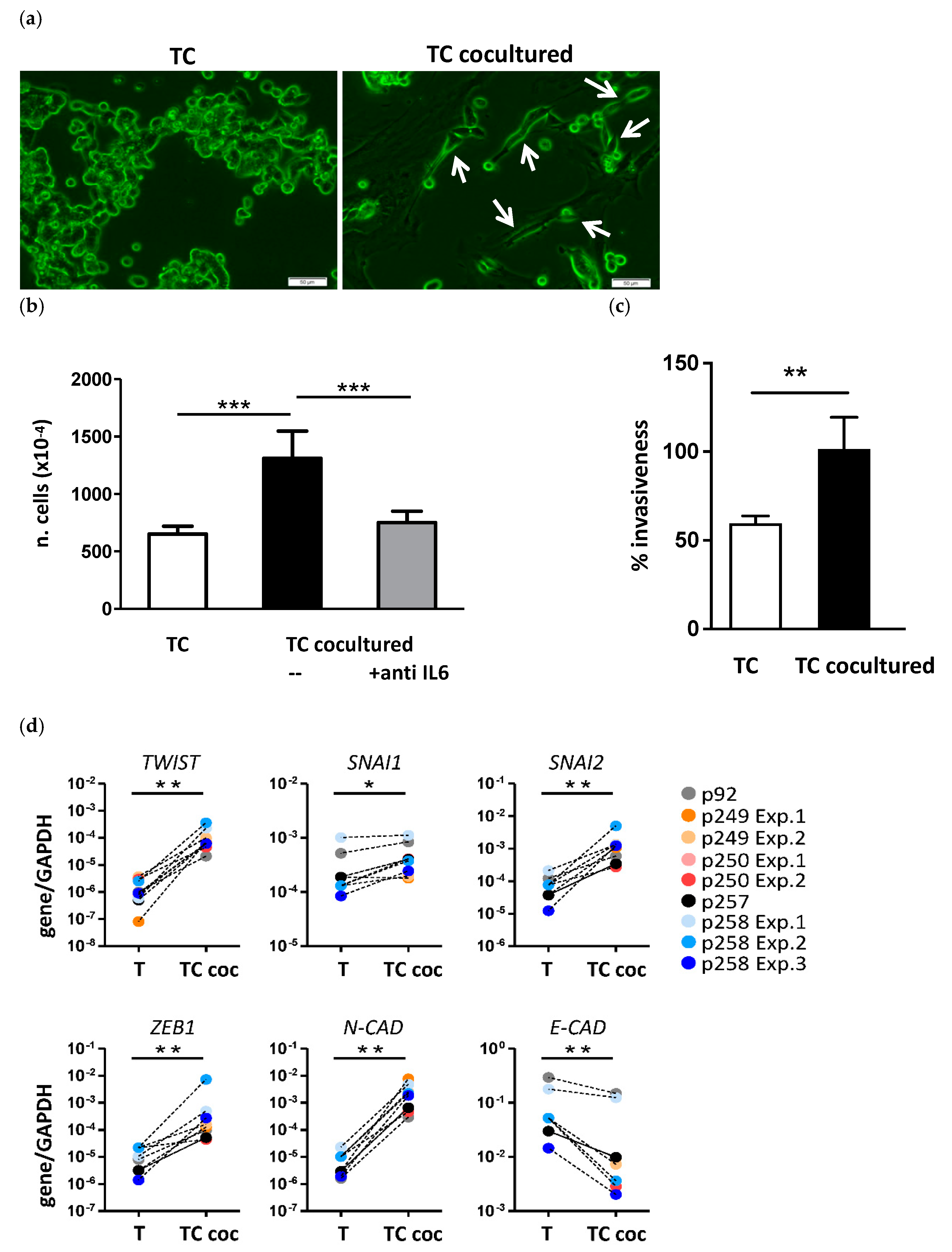 Cancers 14 02024 g002 Cancers 14 02024 g002