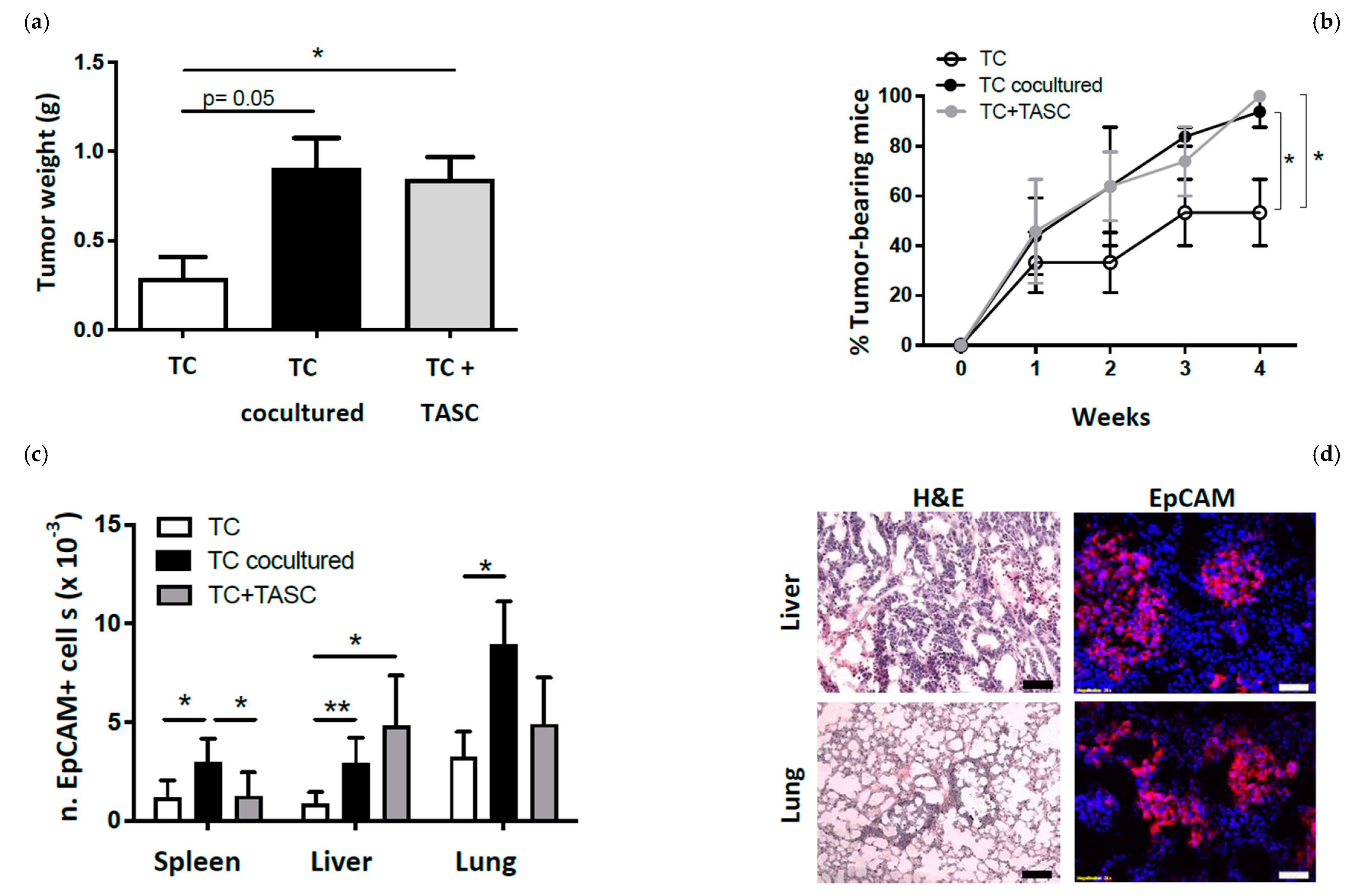 Cancers 14 02024 g004 Cancers 14 02024 g004
