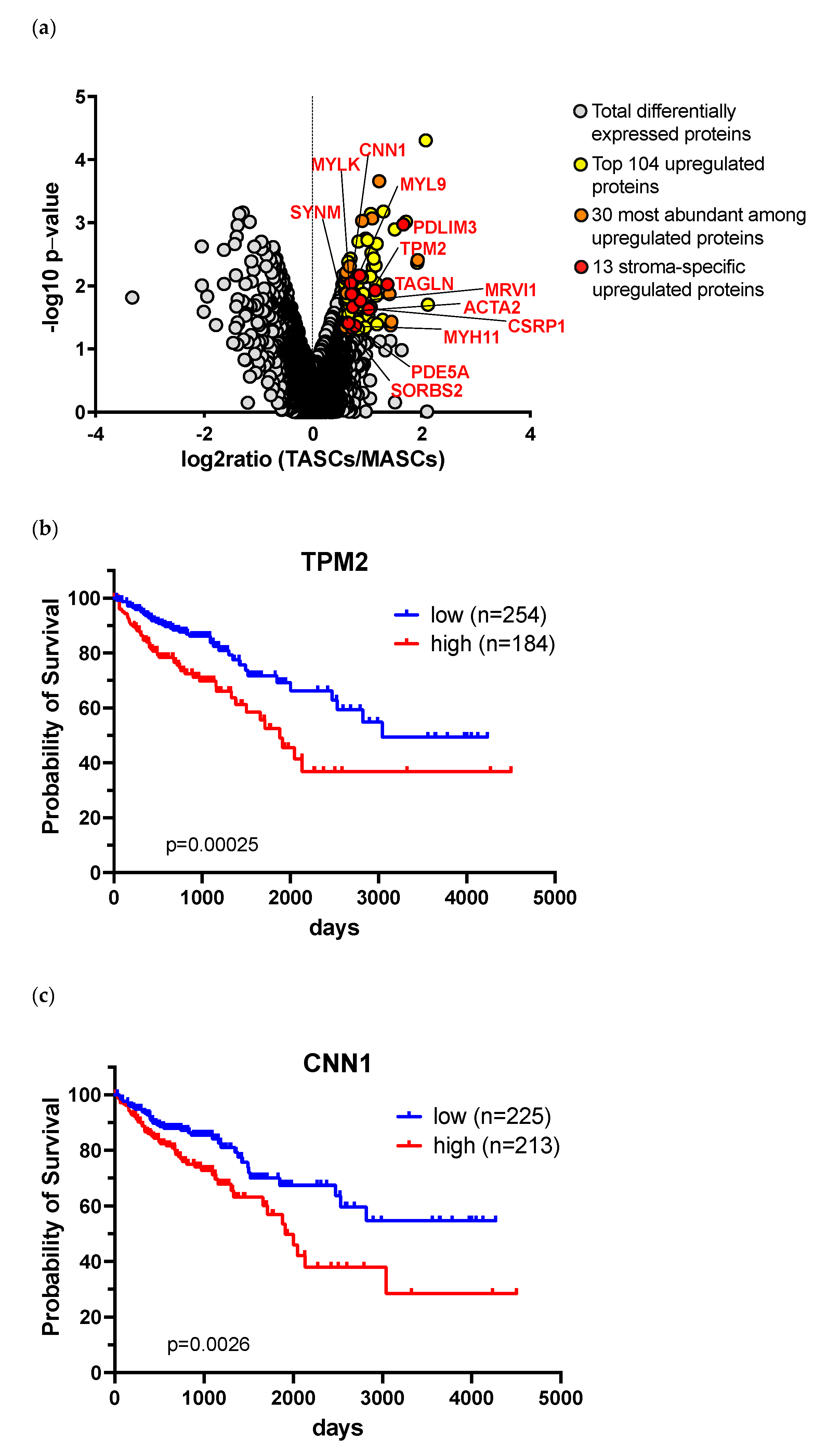 Cancers 14 02024 g005 Cancers 14 02024 g005