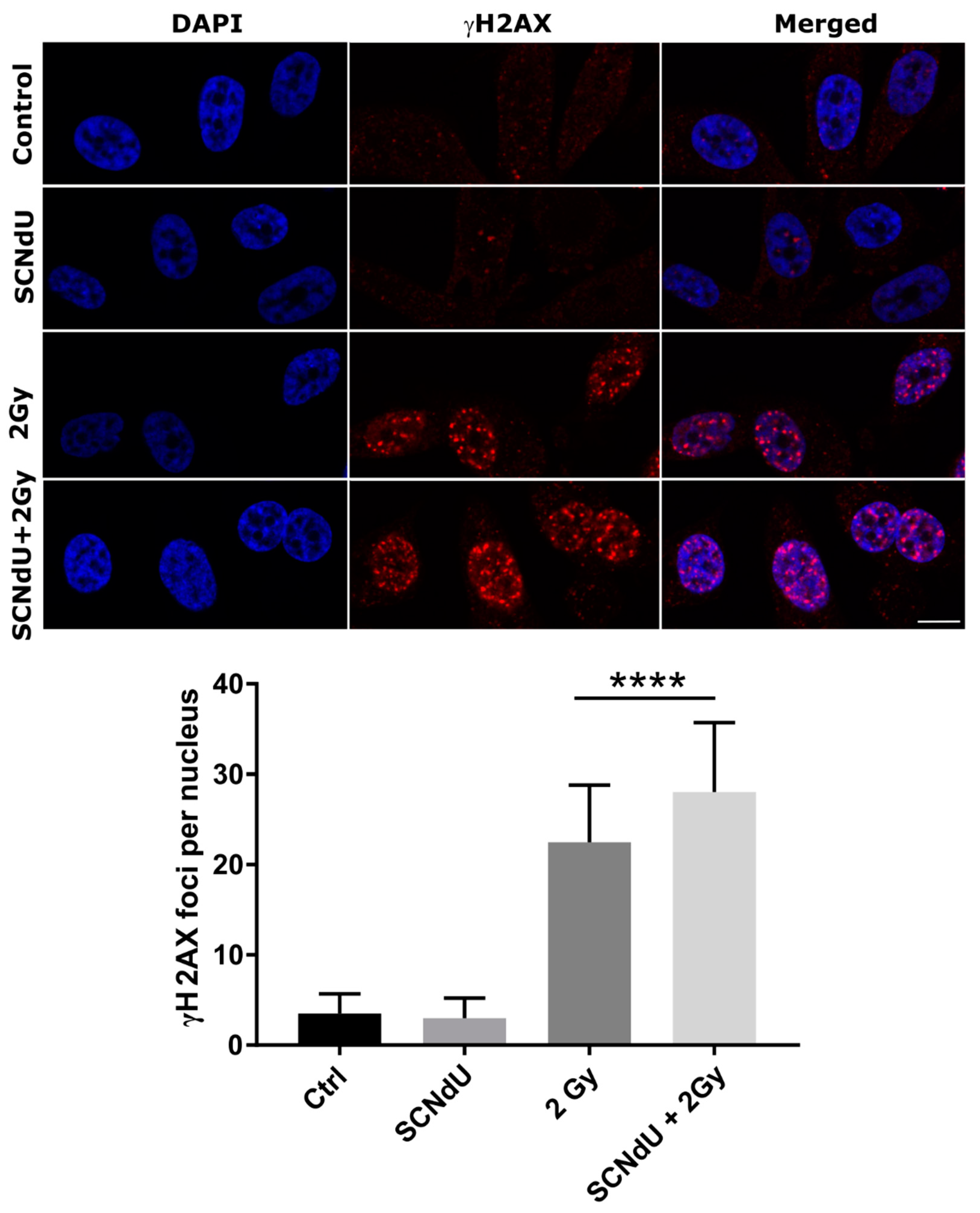 Cancers 14 02035 g005 550