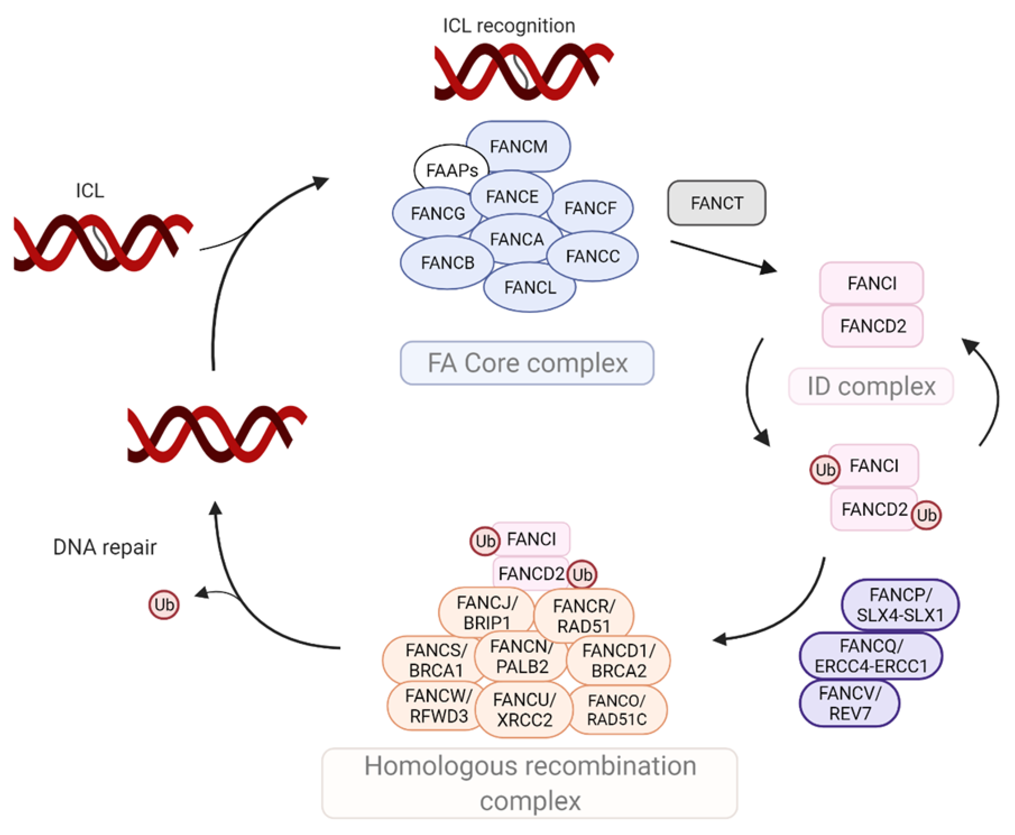Cancers 14 02040 g001 Cancers 14 02040 g001