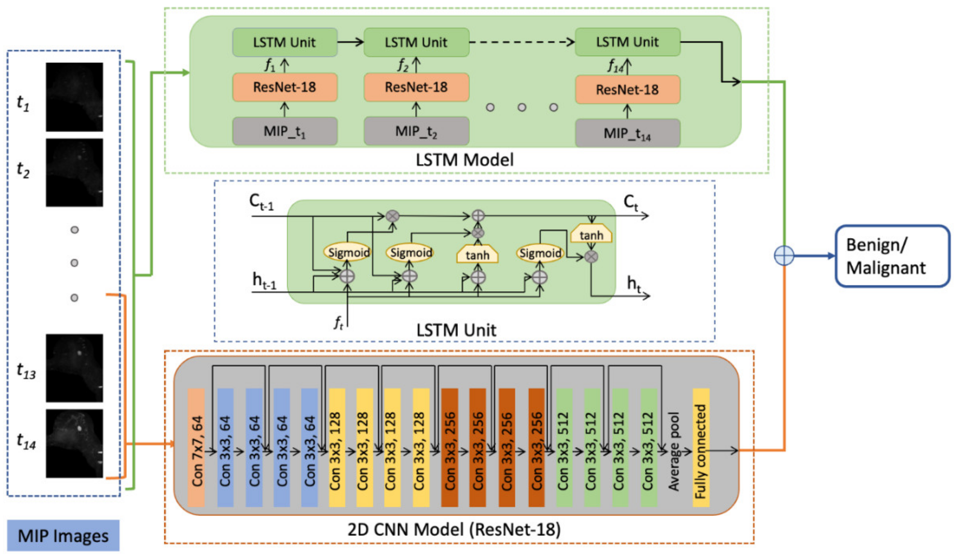 Cancers 14 02042 g003 550