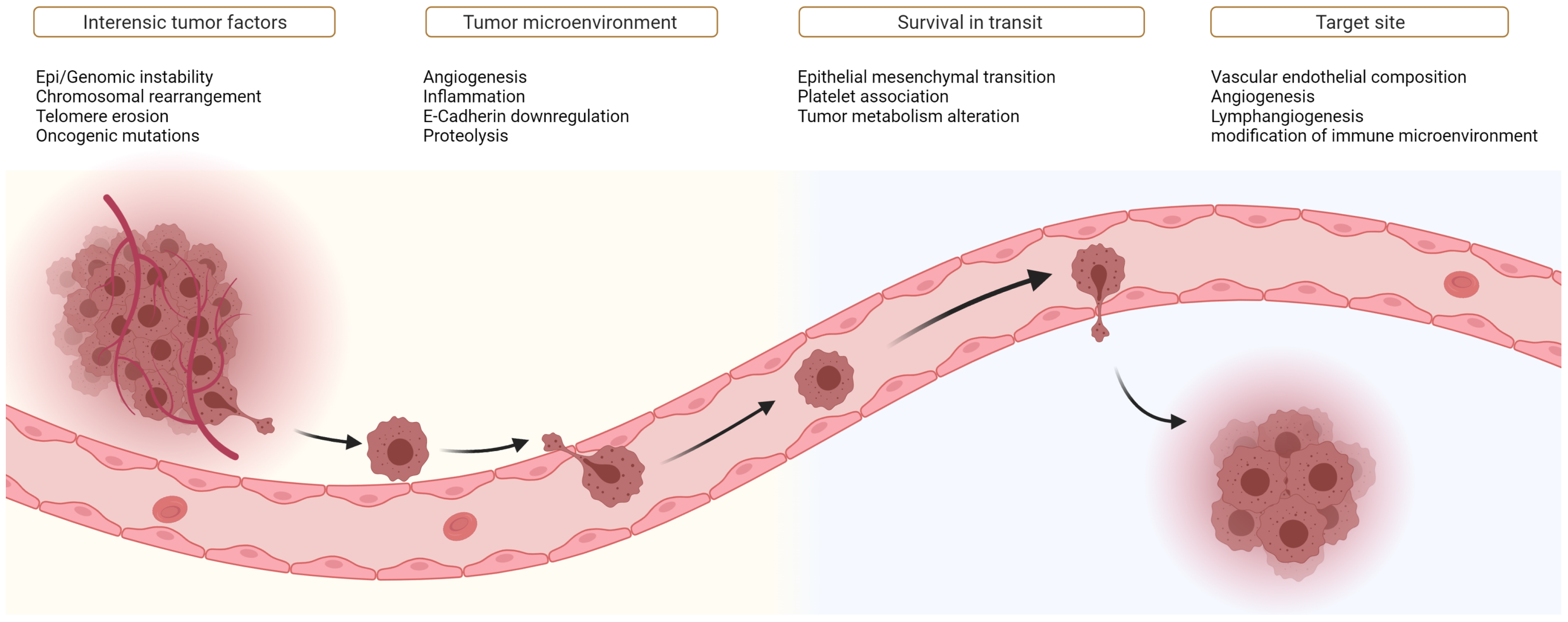 Cancers 14 02046 g003