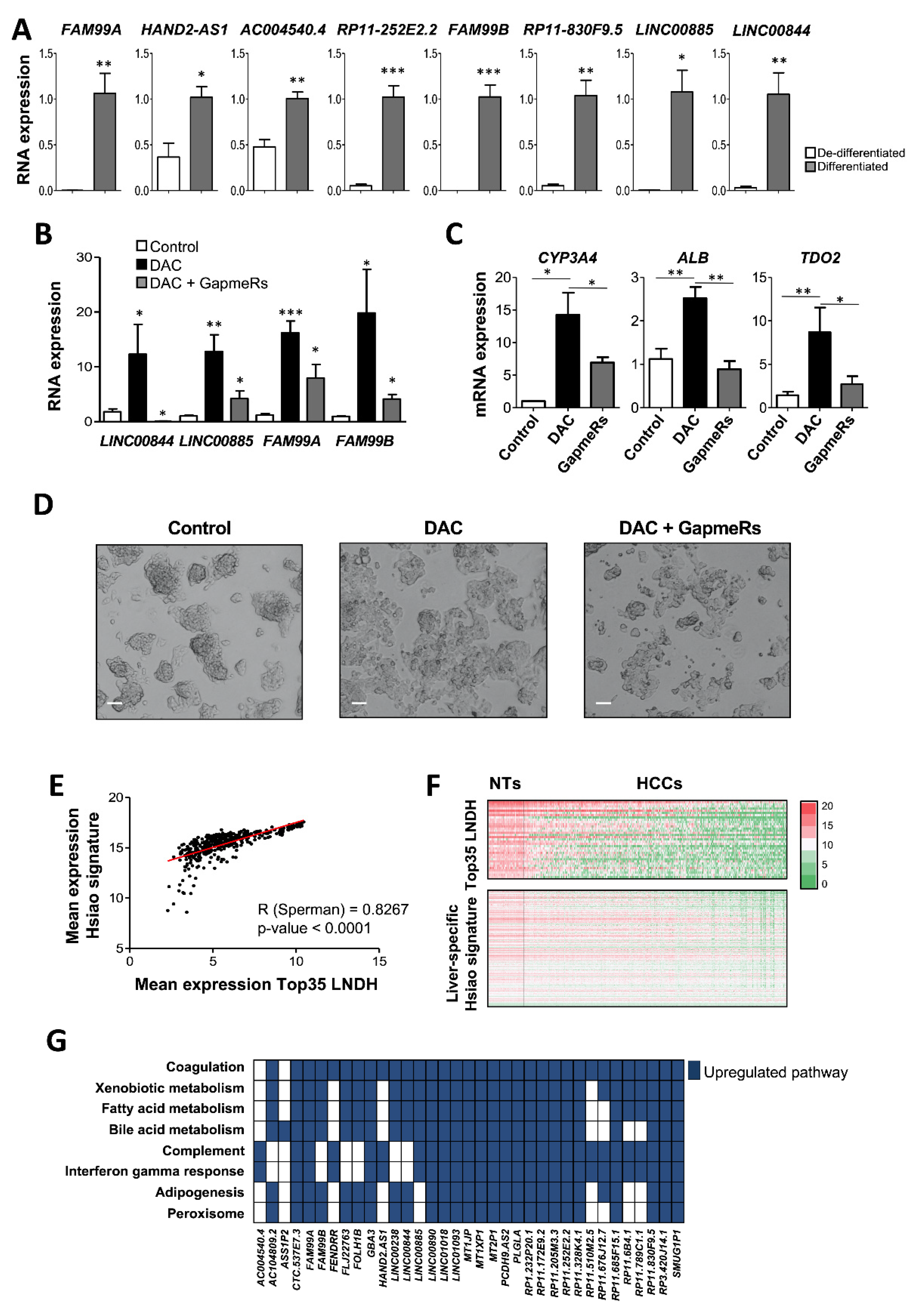Cancers 14 02048 g005 Cancers 14 02048 g005