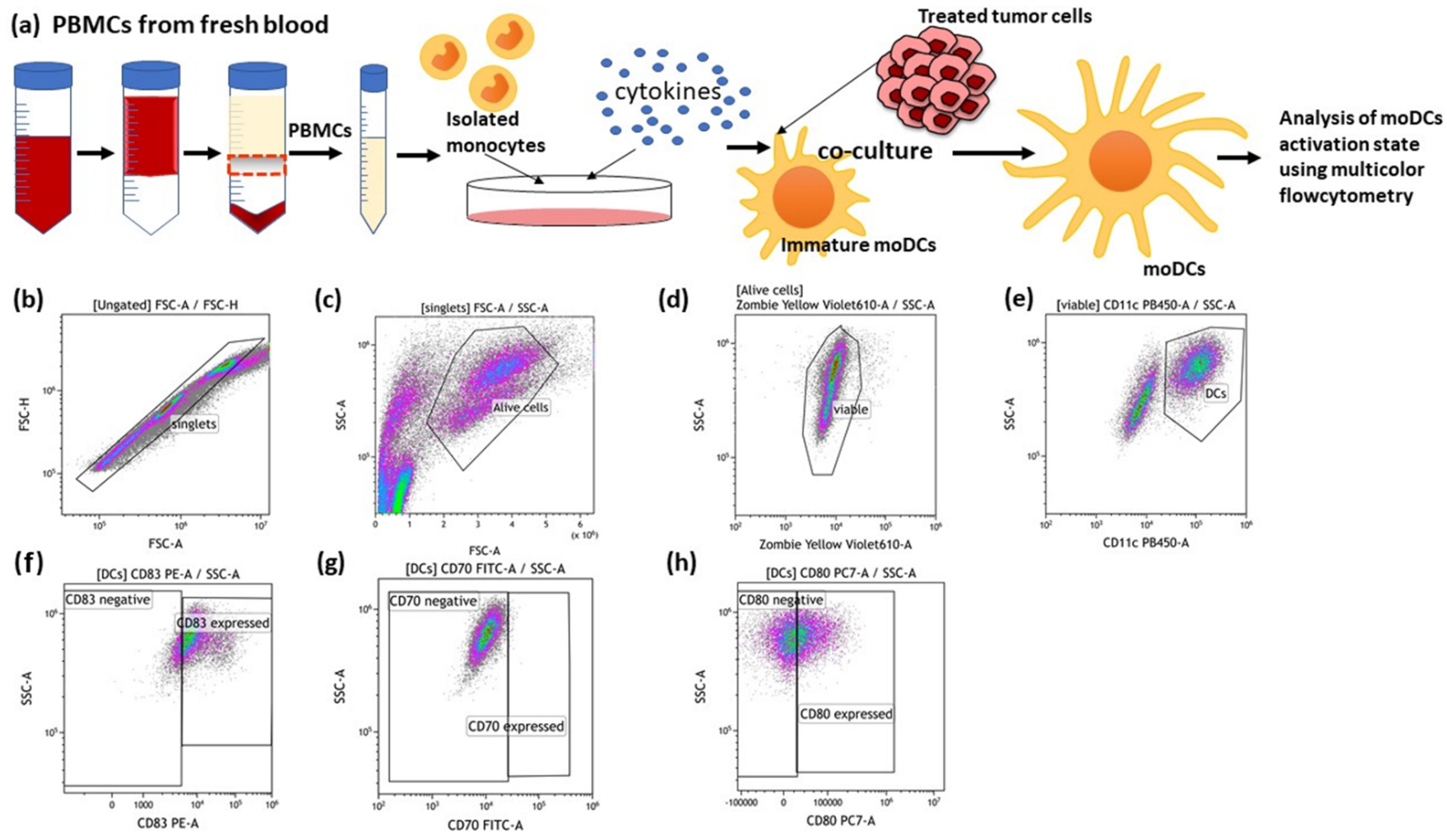 Cancers 14 02050 g004