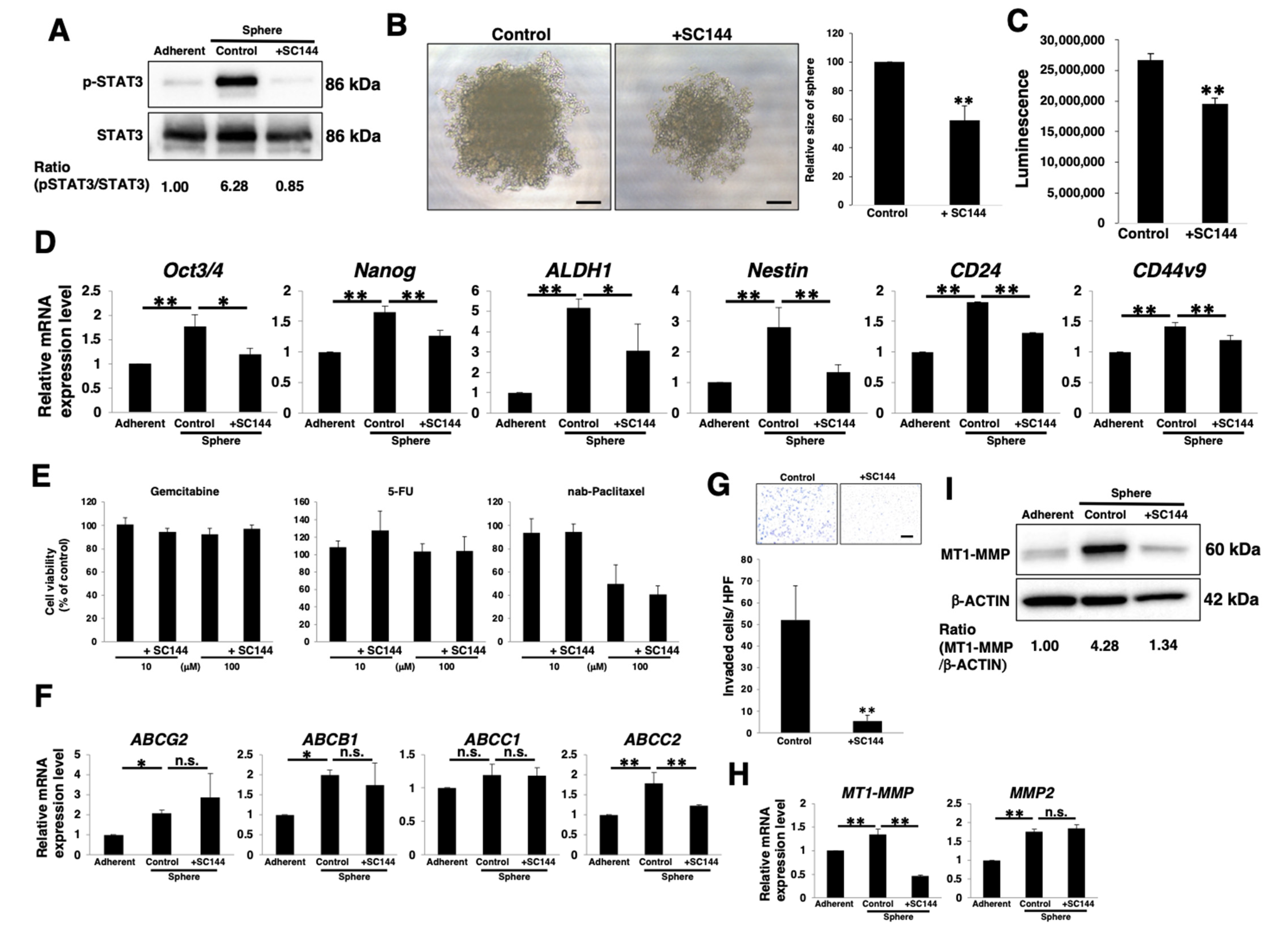 Cancers 14 02055 g003