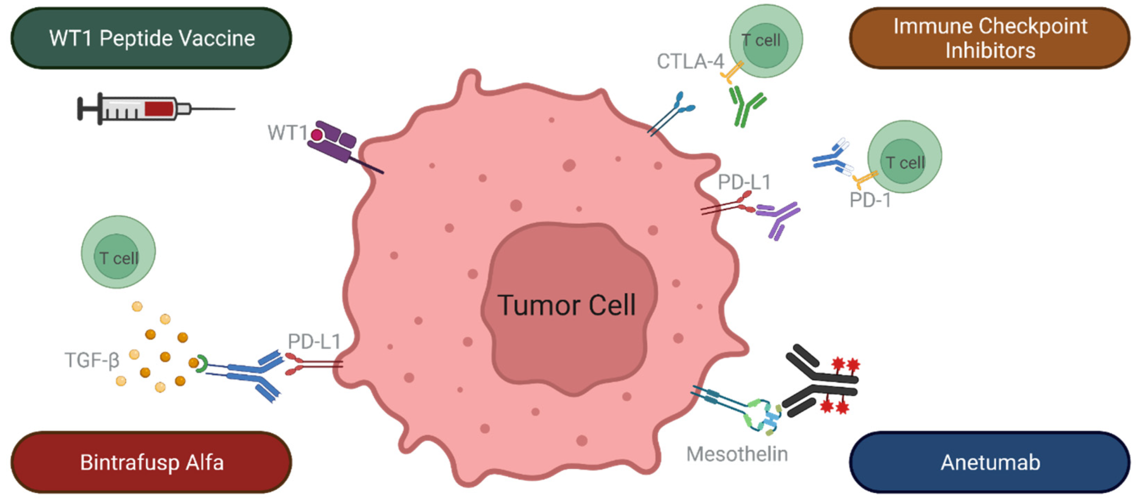 Cancers 14 02060 g002 550