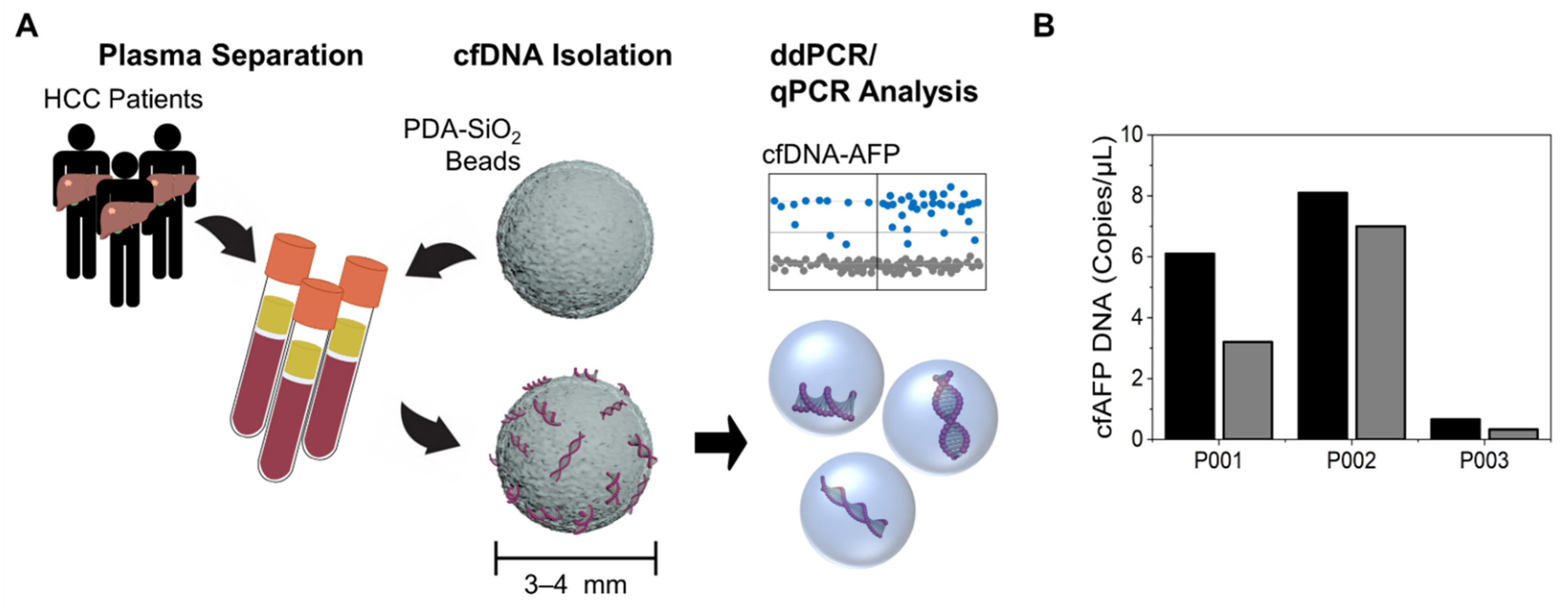 Cancers 14 02061 g001