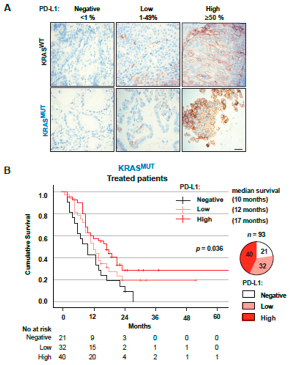 Cancers 14 02063 g004a 550