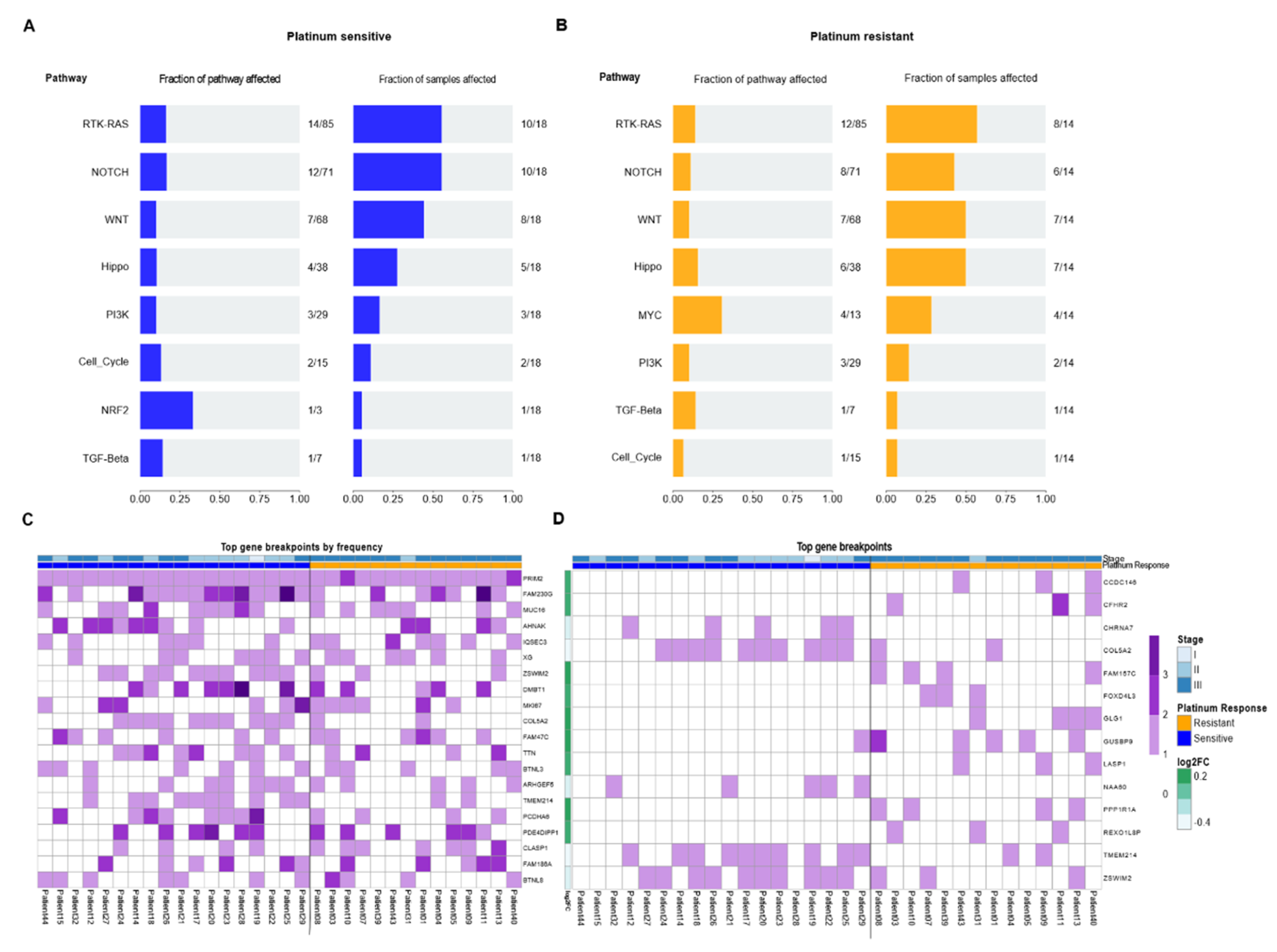 Cancers 14 02065 g003 Cancers 14 02065 g003