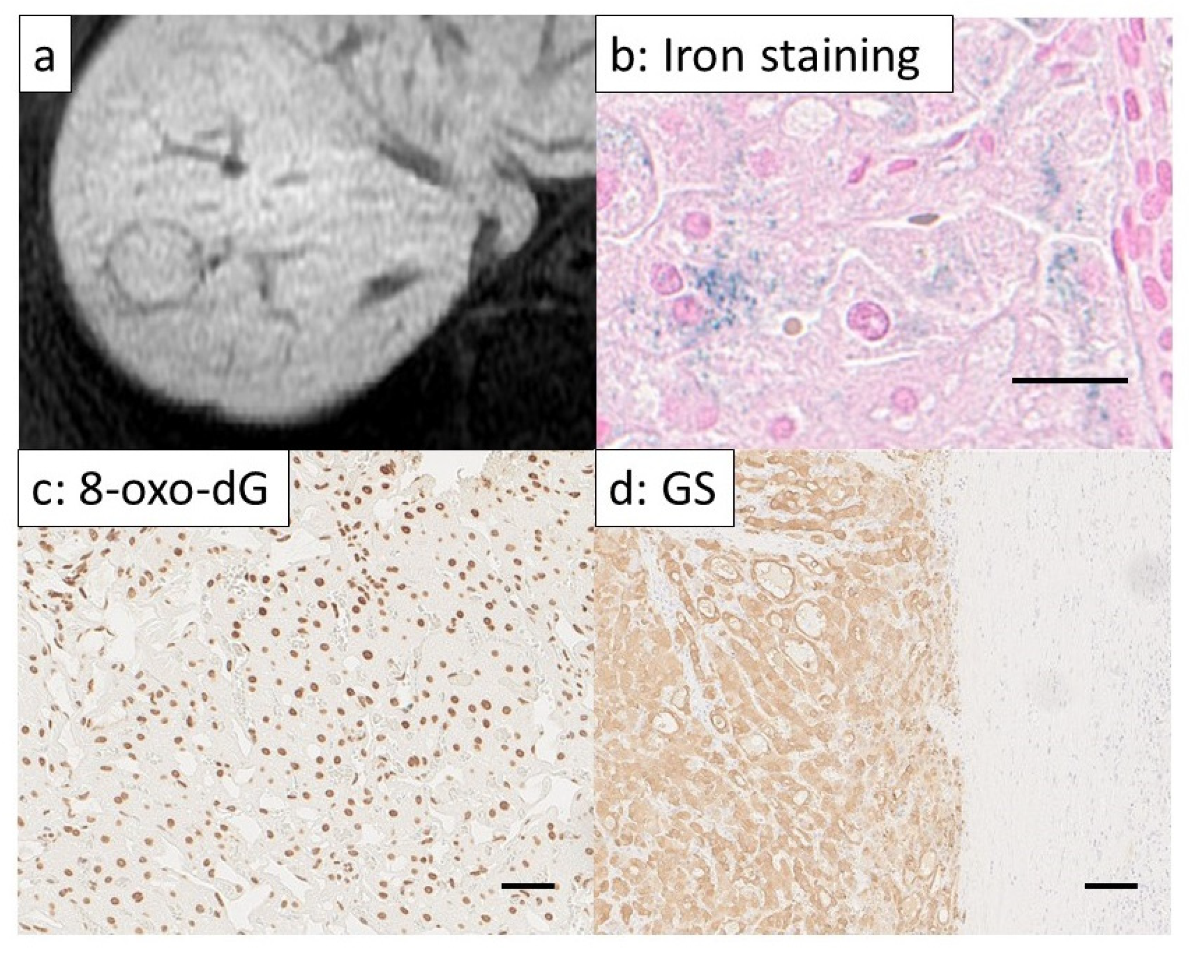 Cancers 14 02066 g003 550