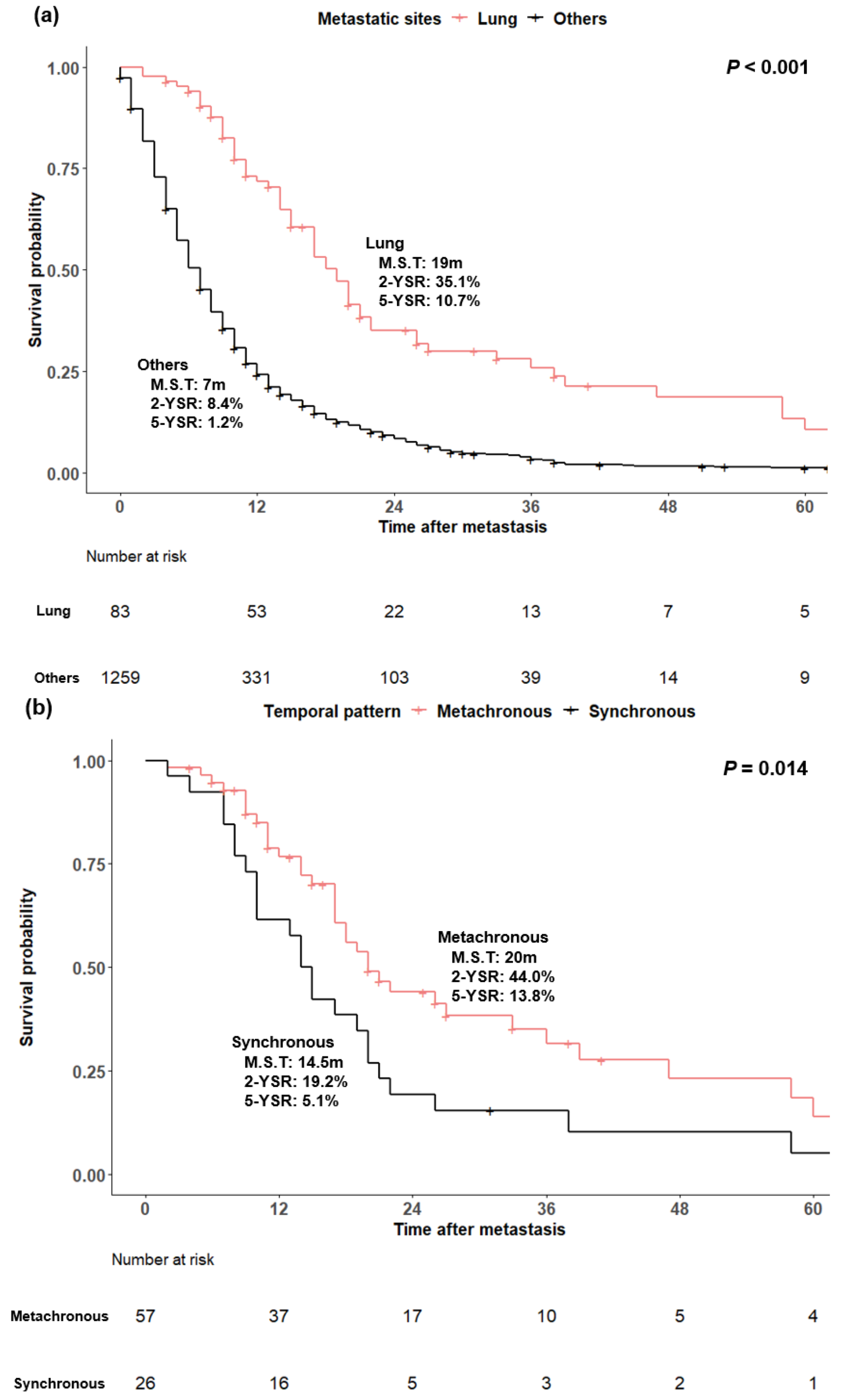 Cancers 14 02067 g003a