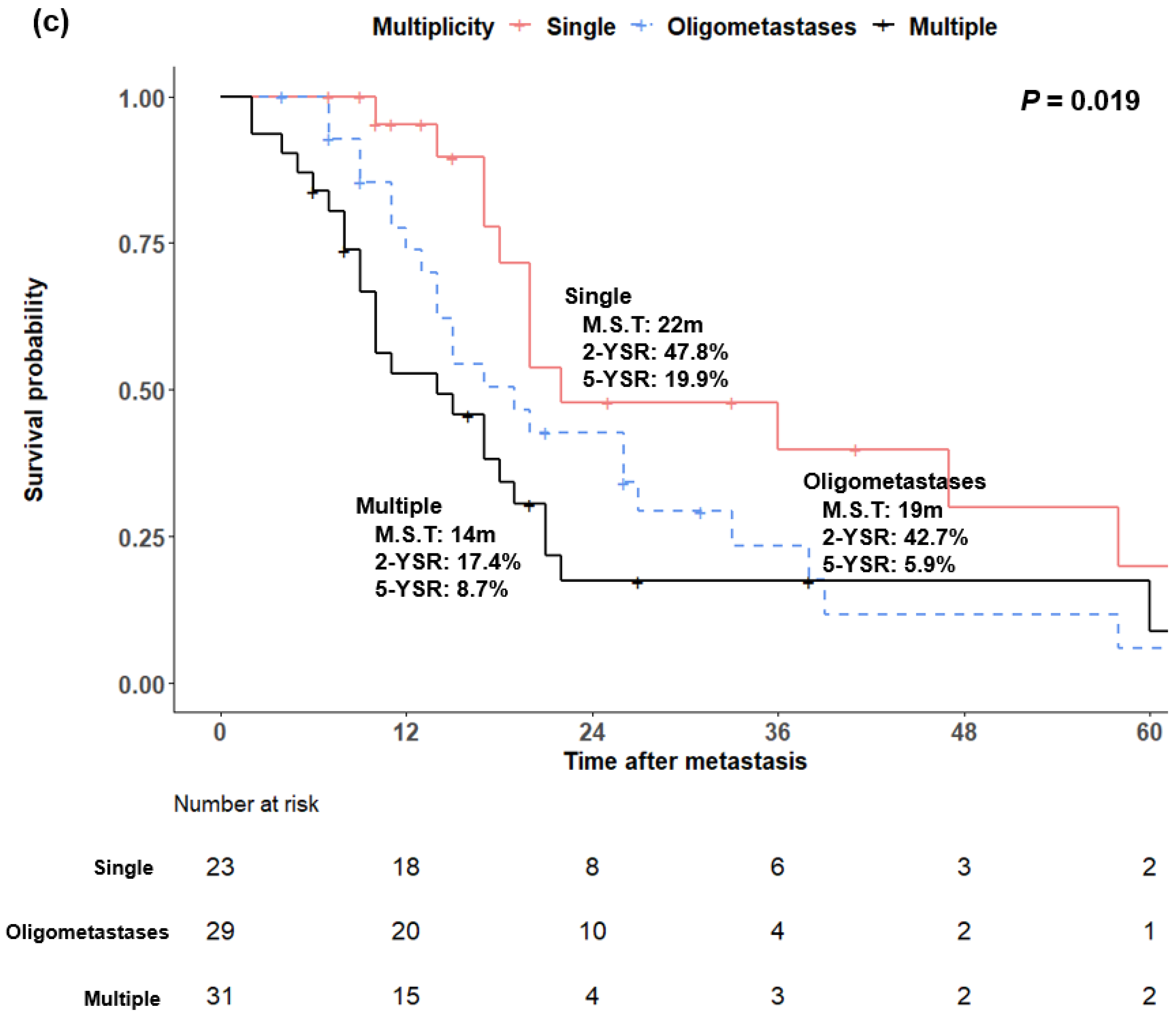 Cancers 14 02067 g003b