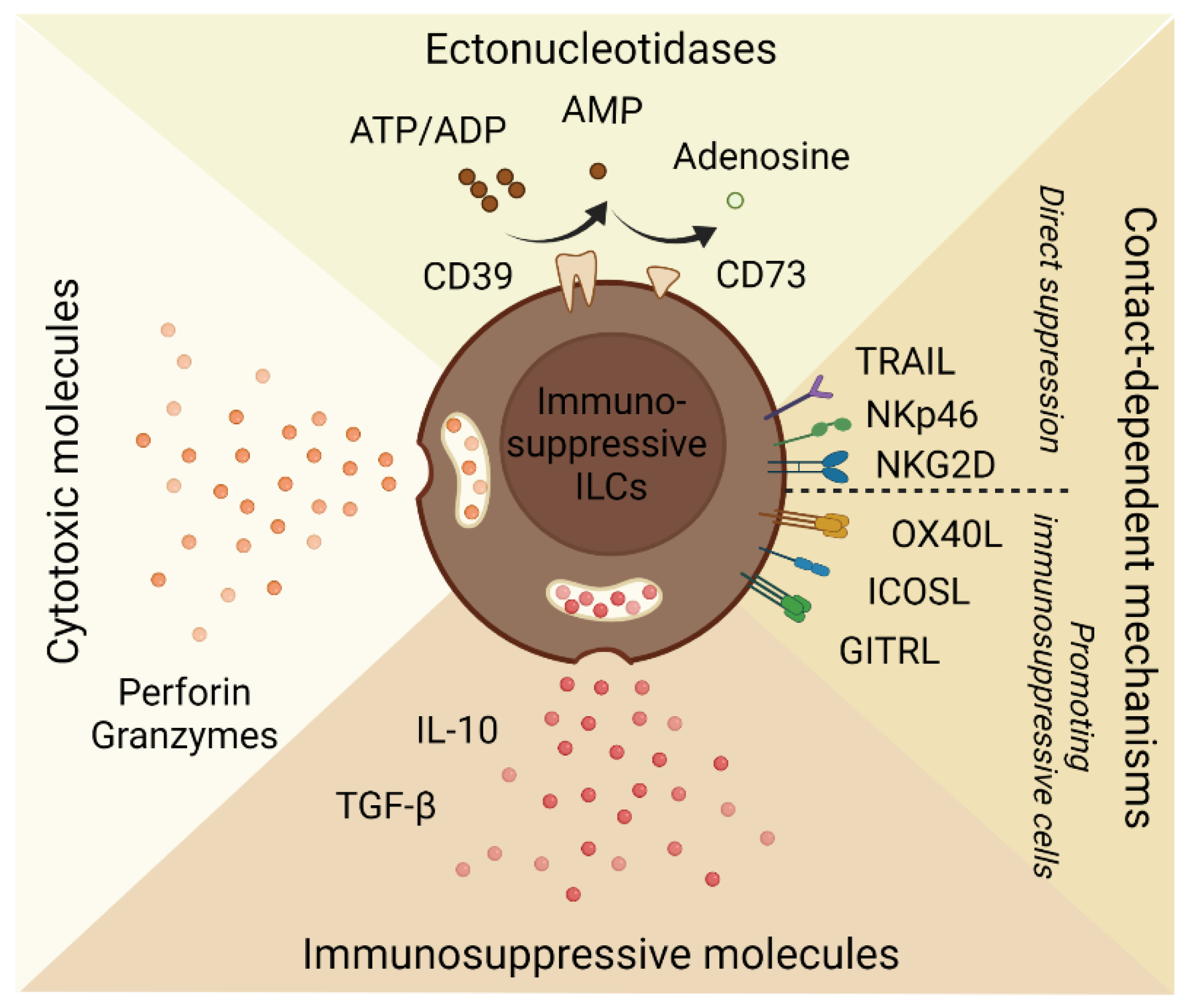 Cancers 14 02071 g002 550