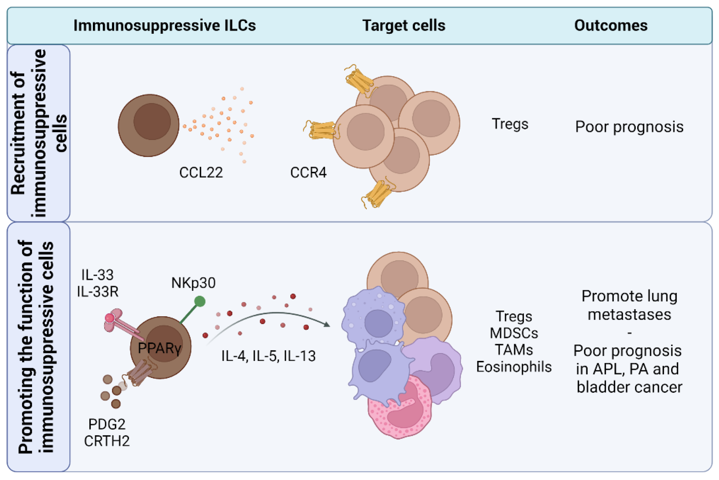 Cancers 14 02071 g004 550