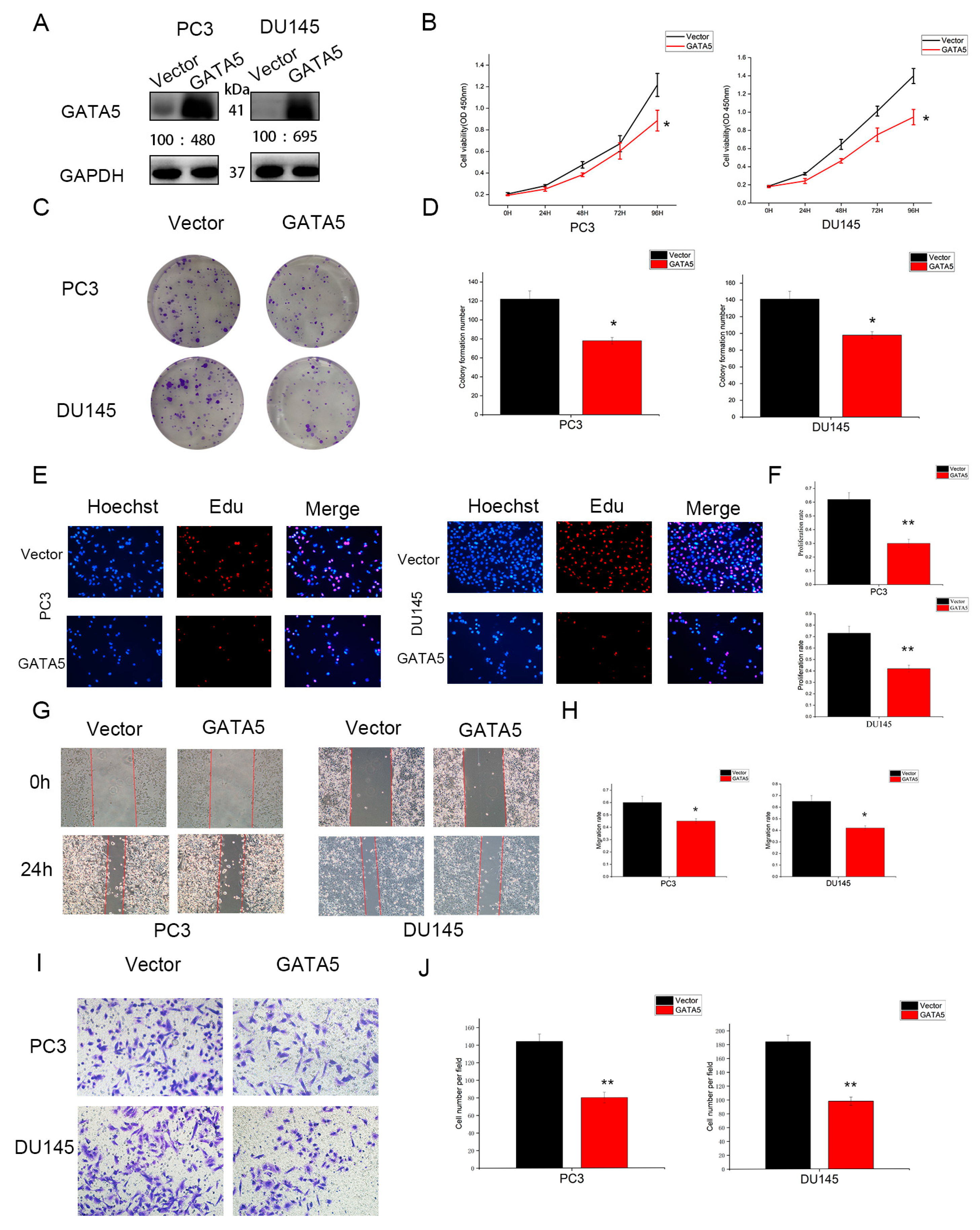 Cancers 14 02074 g002 550