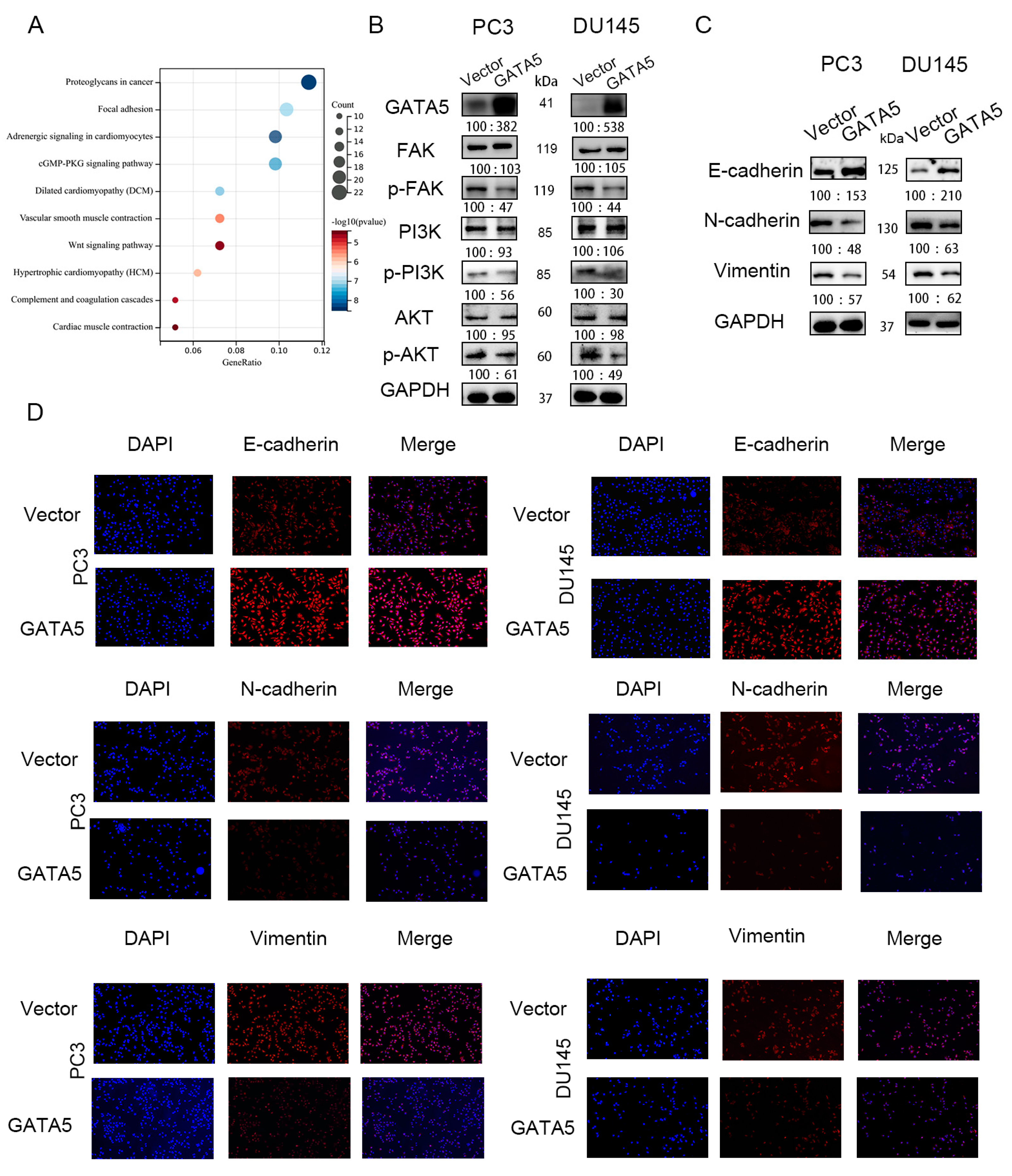 Cancers 14 02074 g004 550