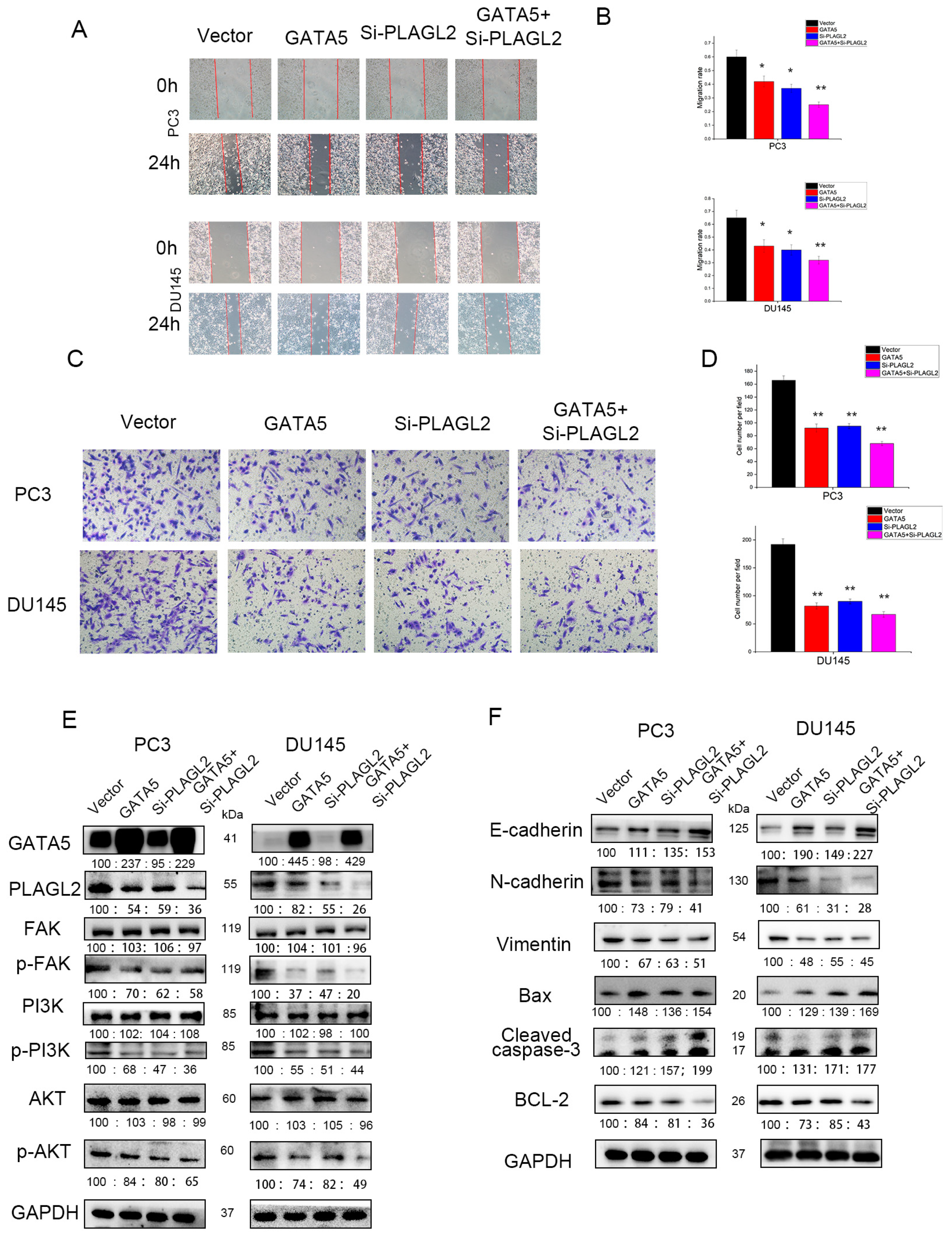 Cancers 14 02074 g007 550